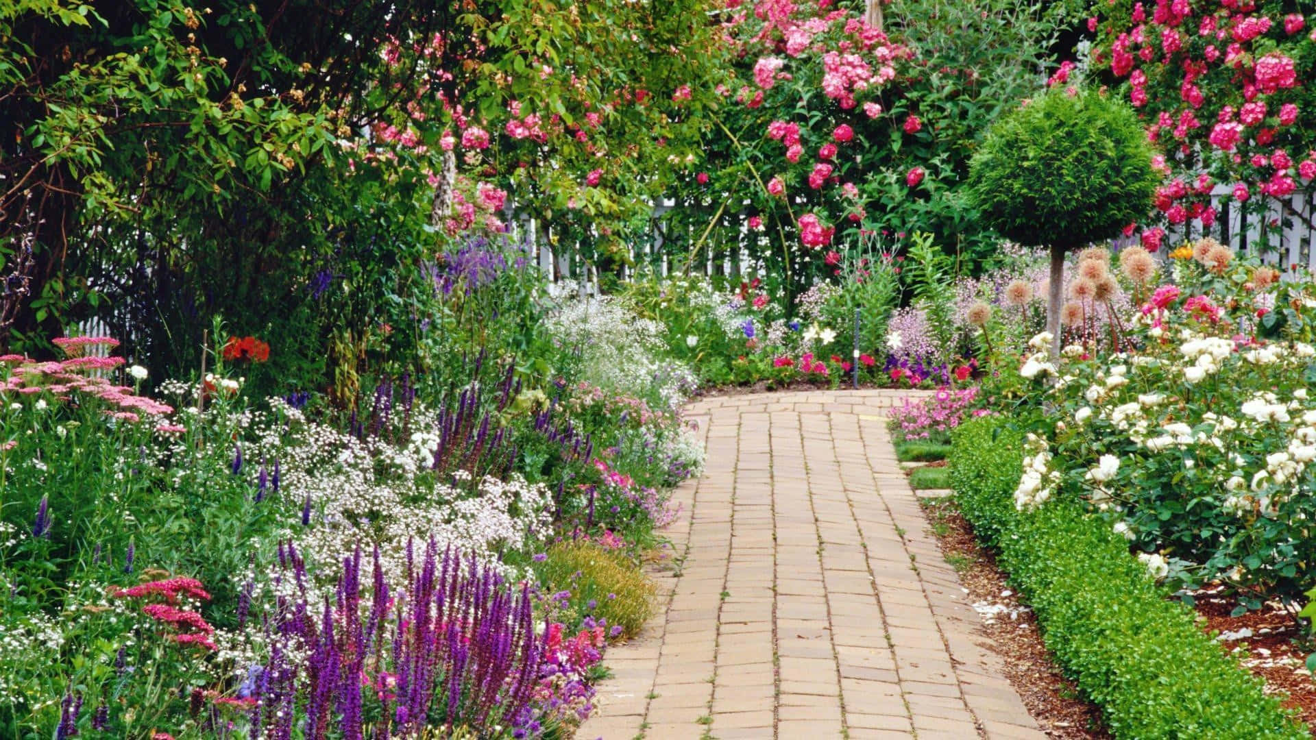 garden path, stone path, lush garden, Full HD Desktop Wallpaper