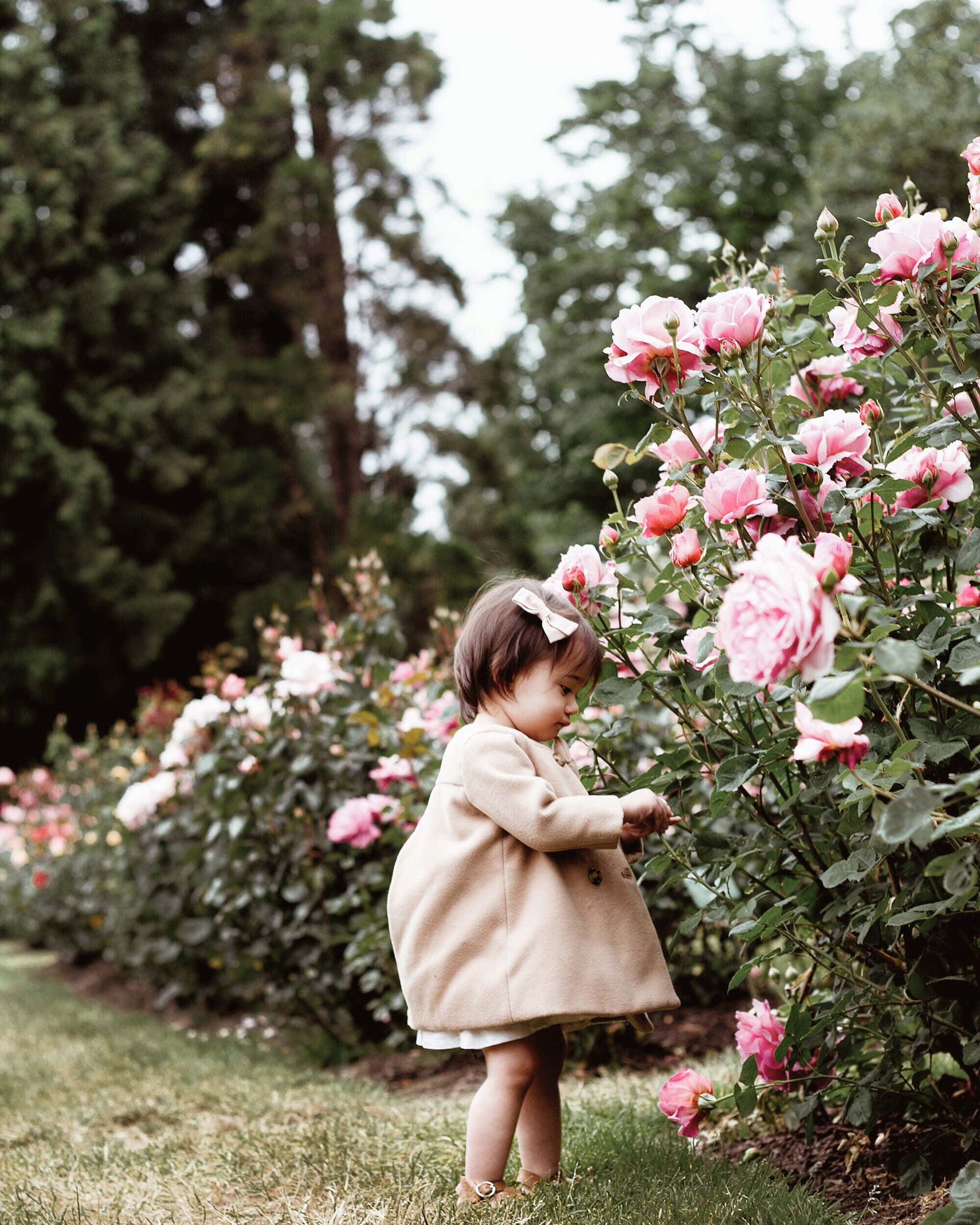 garden photography, toddler, beige coat, Full HD Phone Wallpaper