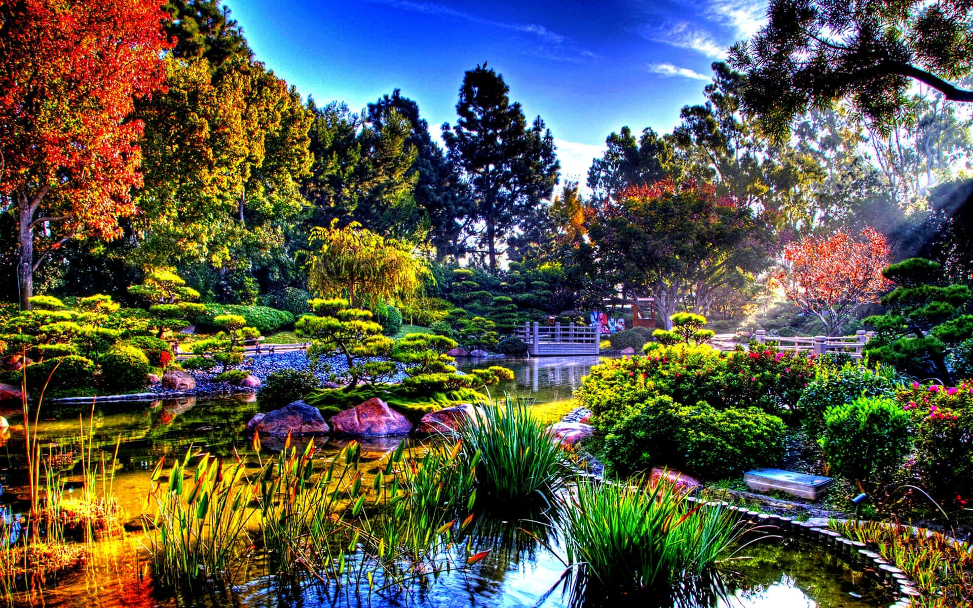 Japanese garden pond, autumn trees, manicured shrubs, Full HD Desktop Wallpaper