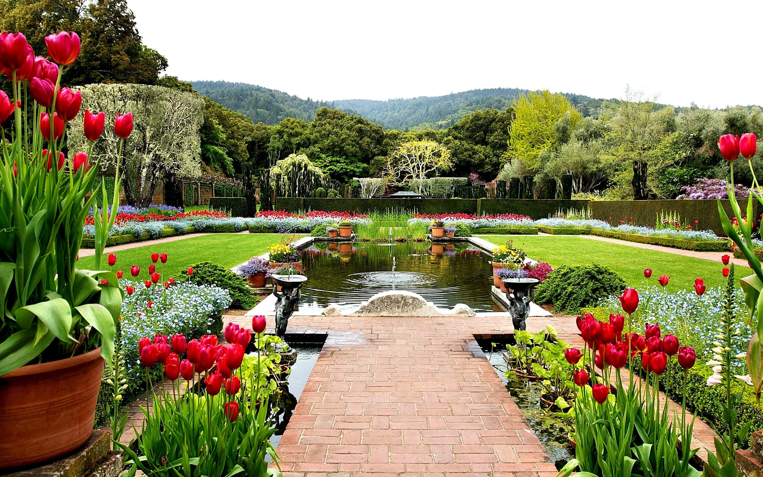 garden pathway, vibrant red tulips, tranquil pond, 2K Desktop Wallpaper