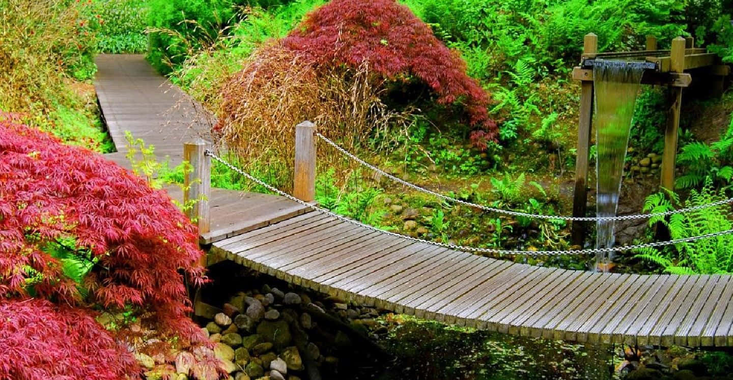 wooden suspension bridge, rocky stream, lush garden, HD Desktop Wallpaper