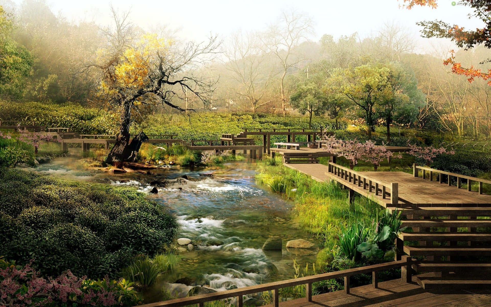 forest stream, wooden bridges, blooming trees, Full HD Desktop Wallpaper
