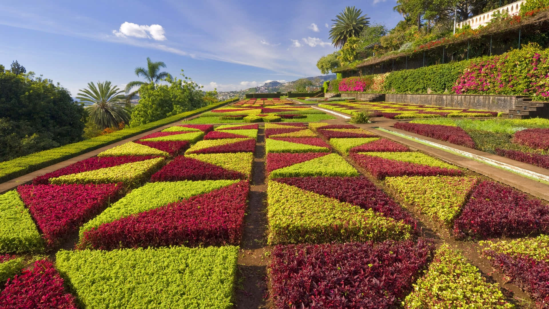 garden photography, red and green, sunlit hillside, Full HD Desktop Wallpaper