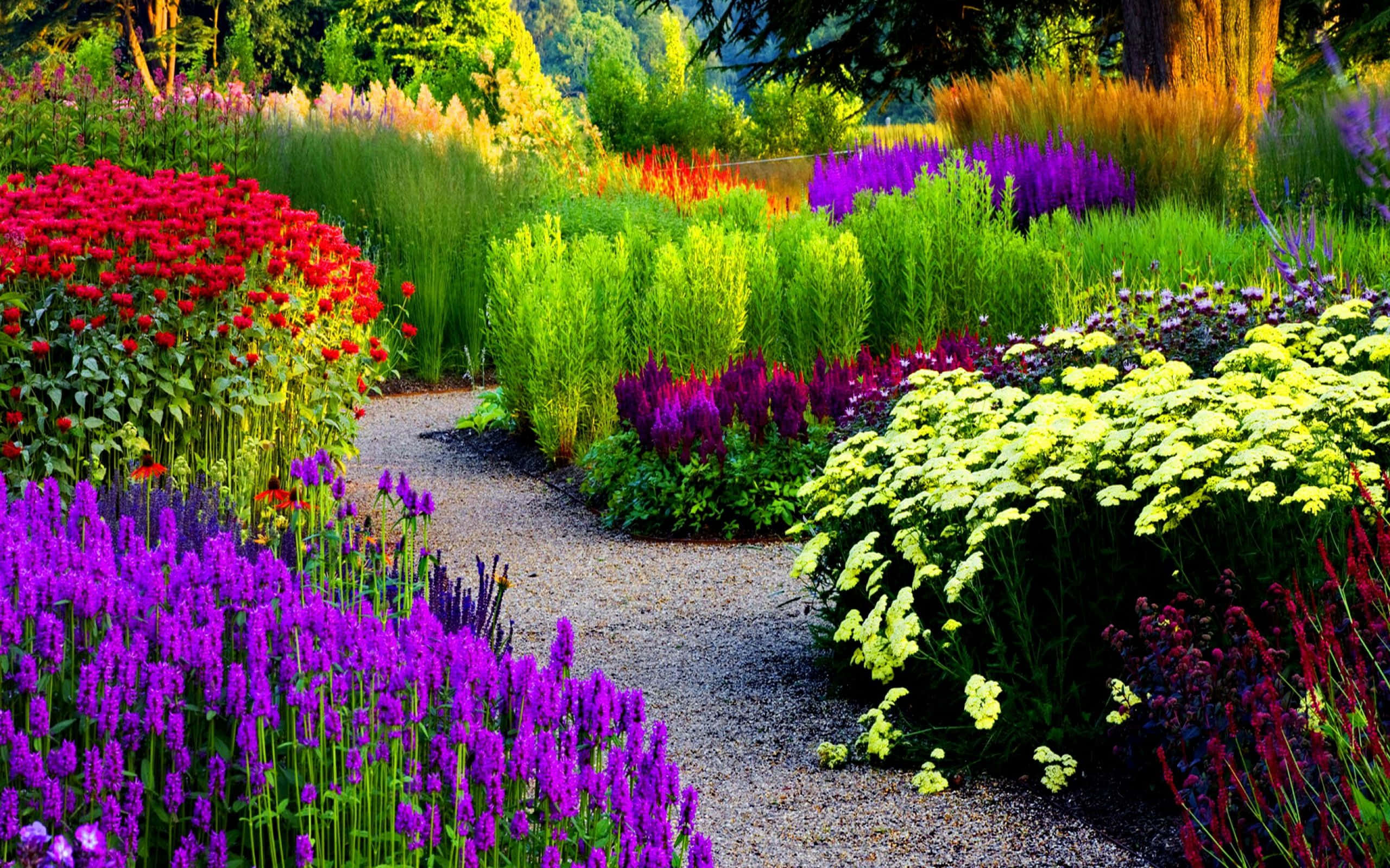 garden, gravel path, red, 2K Desktop Wallpaper