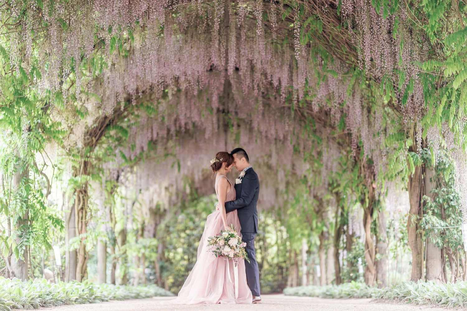 garden wedding, purple wisteria flowers, sunlit garden pathway, HD Desktop Wallpaper