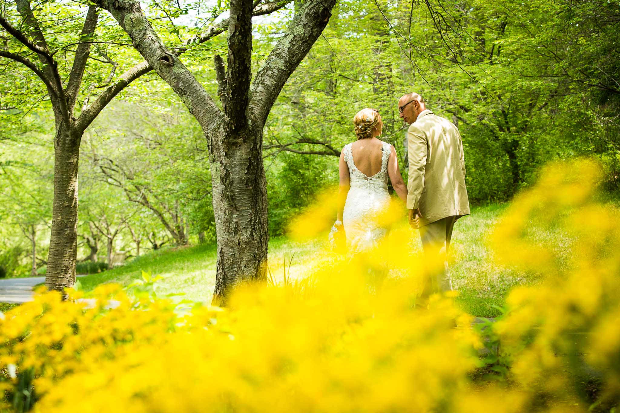 Garden Wedding, sunlit forest path, vibrant yellow flowers, Full HD Desktop Wallpaper