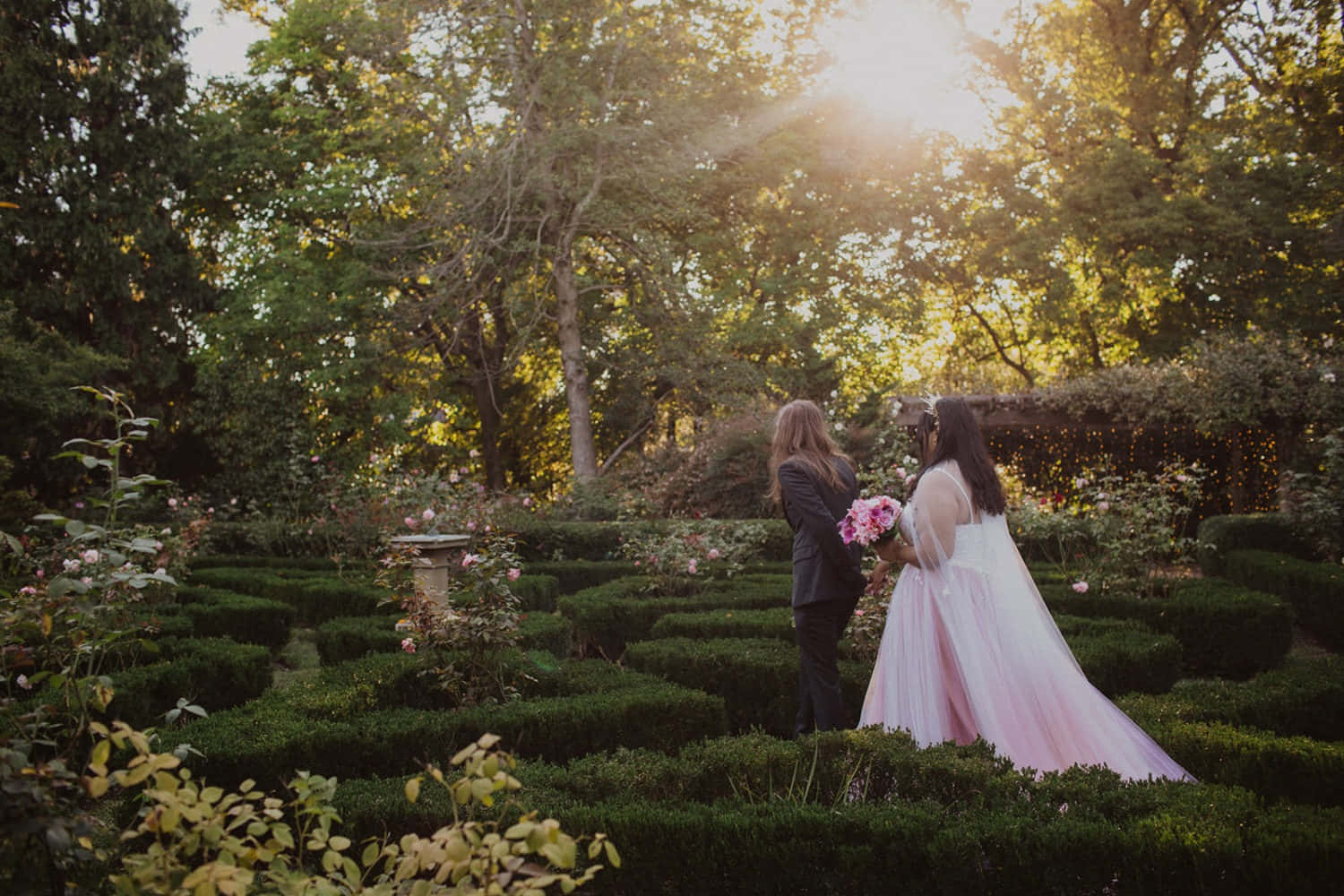 Garden Wedding, rose garden maze, golden light, HD Desktop Wallpaper
