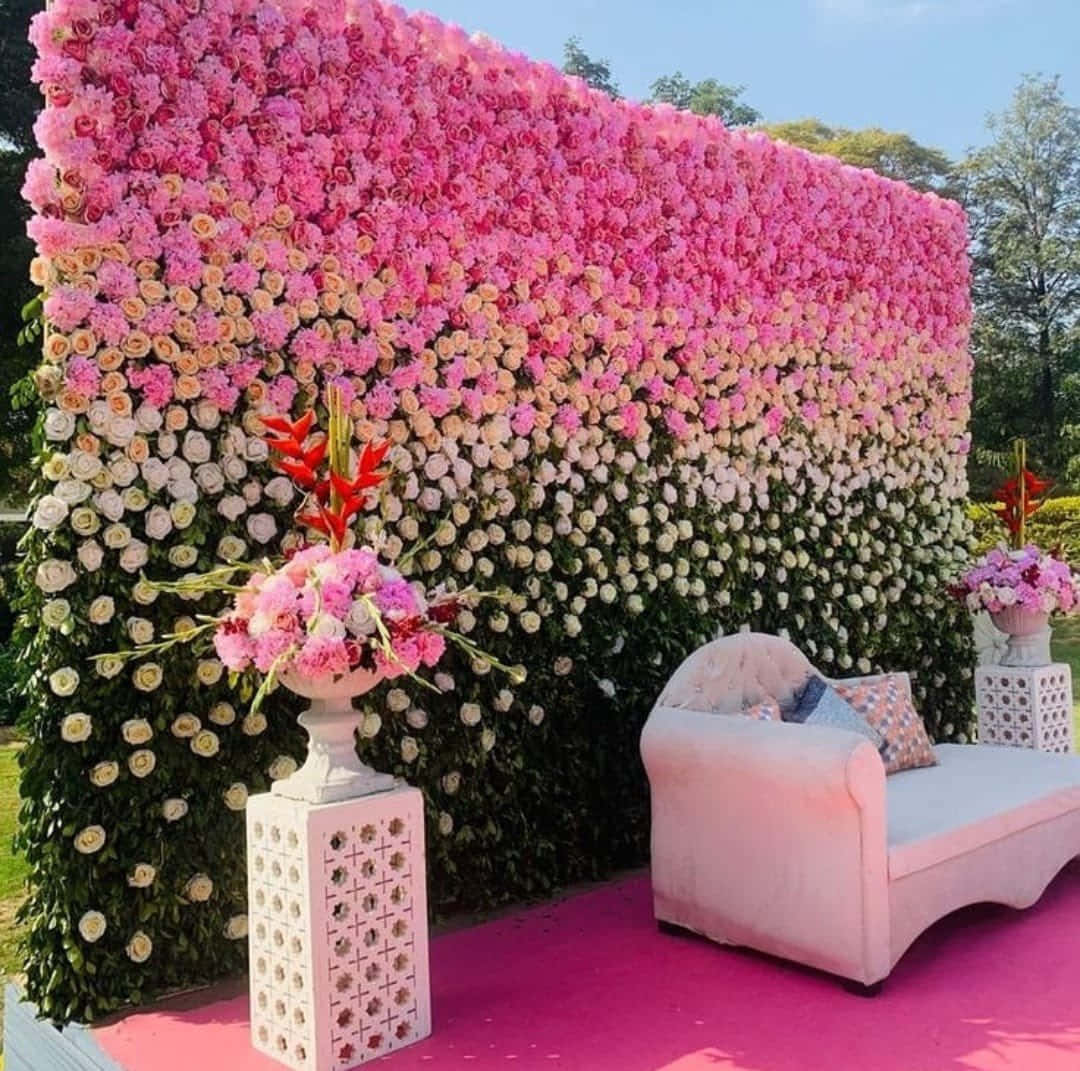garden wedding, pink roses, white blooms, SD Desktop Wallpaper