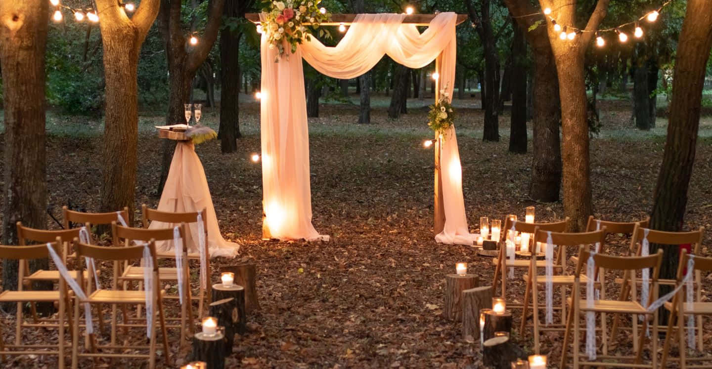 Garden Wedding, cream fabric, string lights, HD Desktop Wallpaper