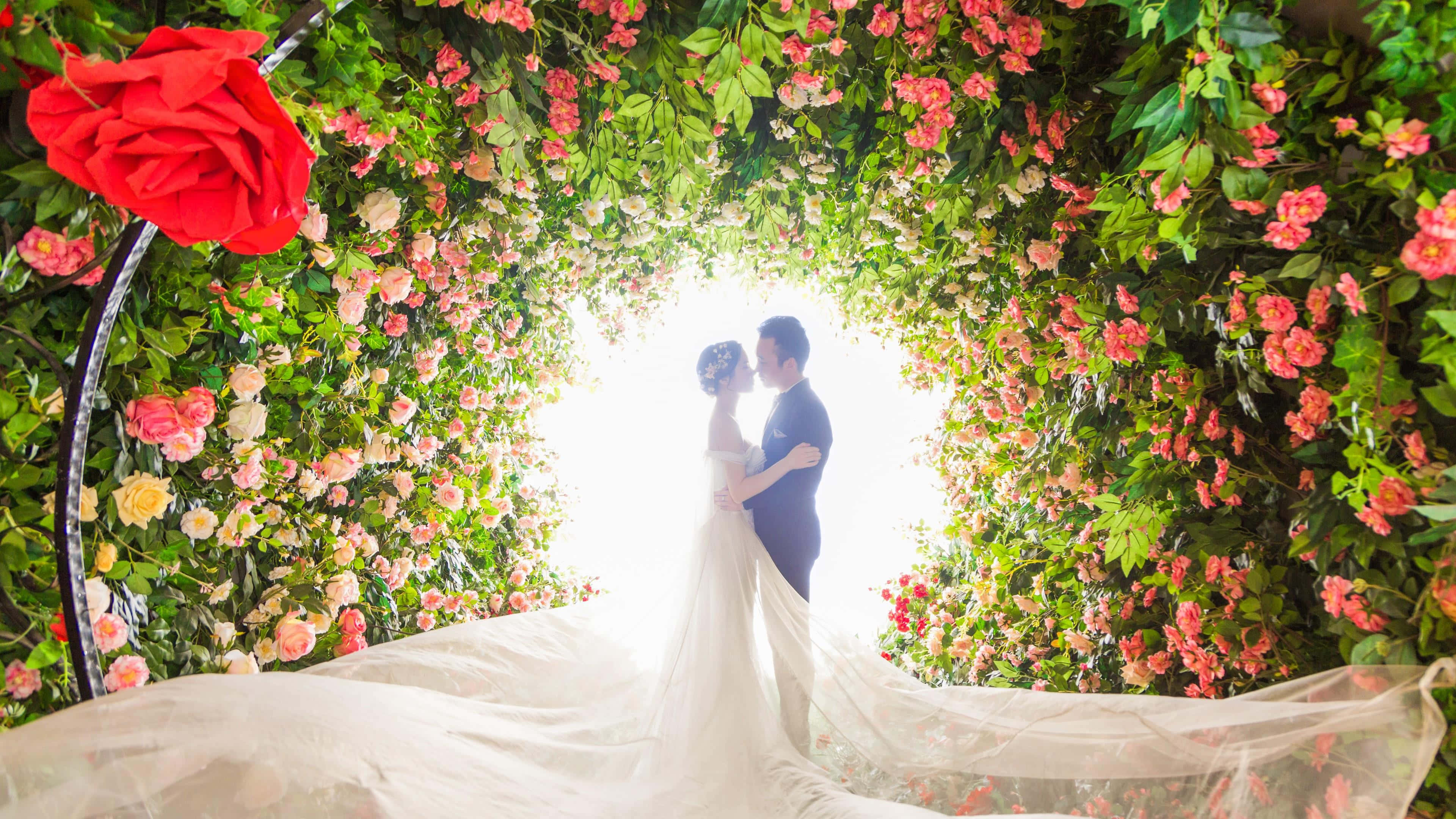 Garden Wedding, floral archway, soft backlighting, 4K Desktop Wallpaper