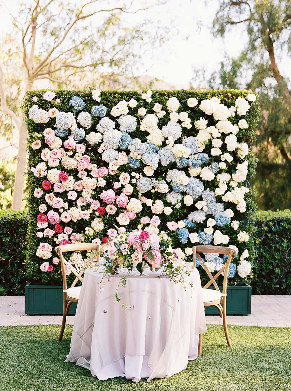 garden wedding, hydrangeas, roses, HD Phone Wallpaper