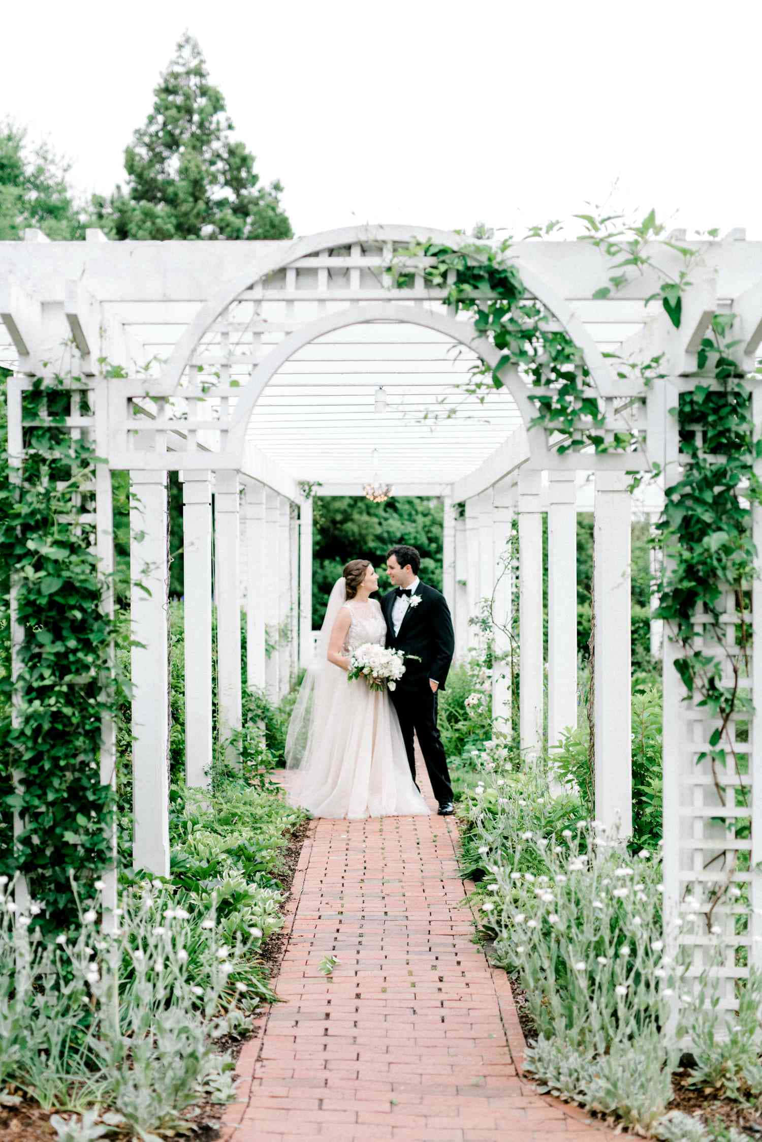 garden wedding, white arbor, green vines, Full HD Phone Wallpaper
