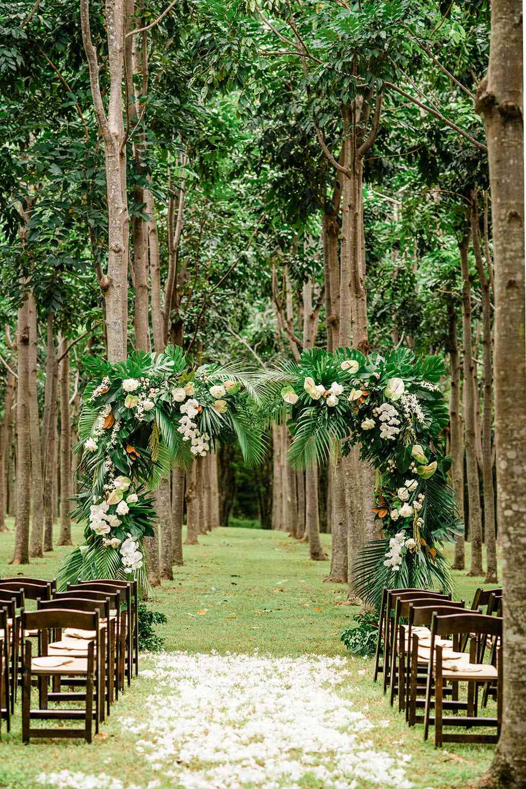 Garden Wedding, forest aisle, tall trees, HD Phone Wallpaper
