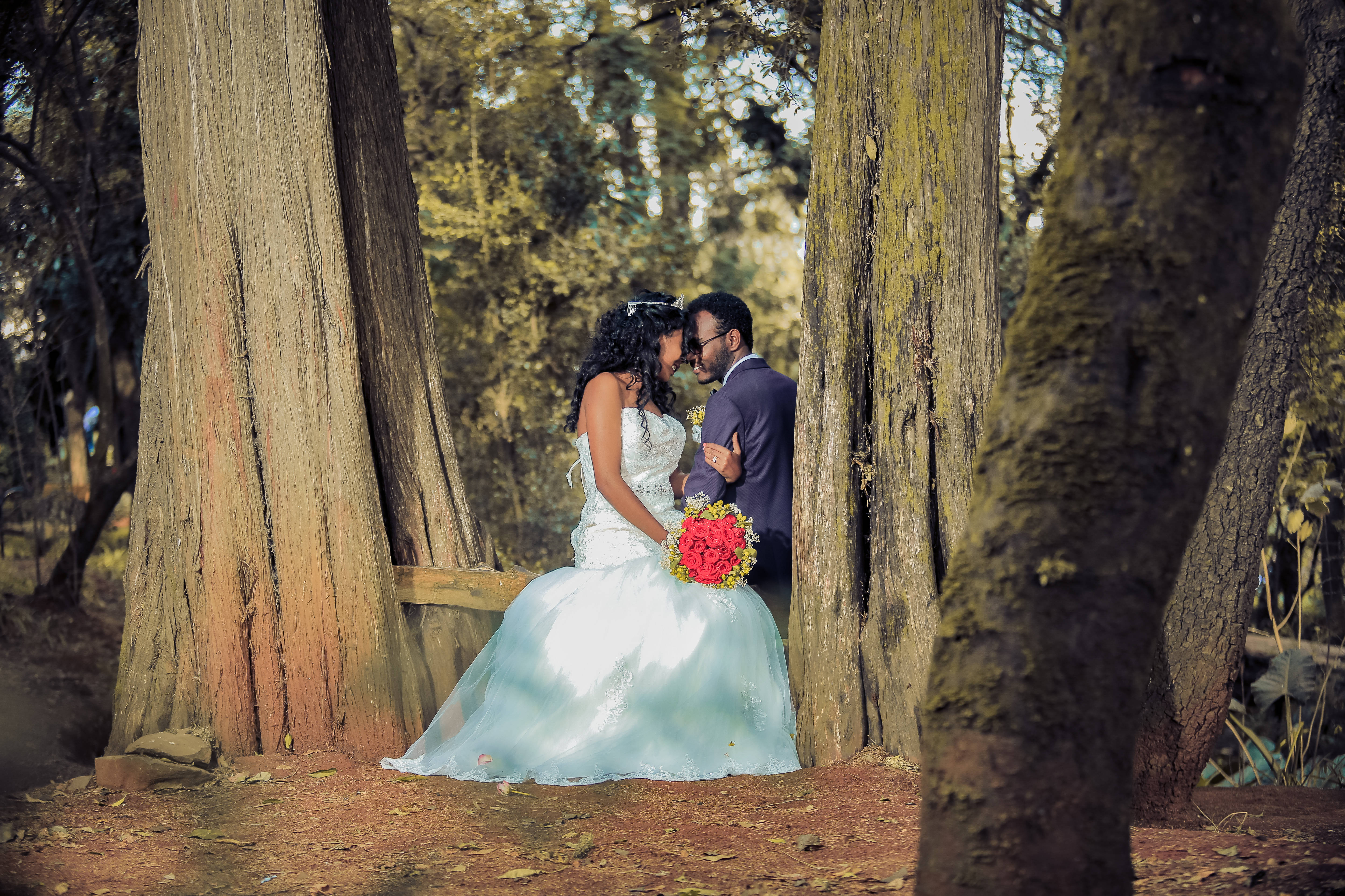 groom and bride, tall trees, mossy trees, 5K Desktop Wallpaper