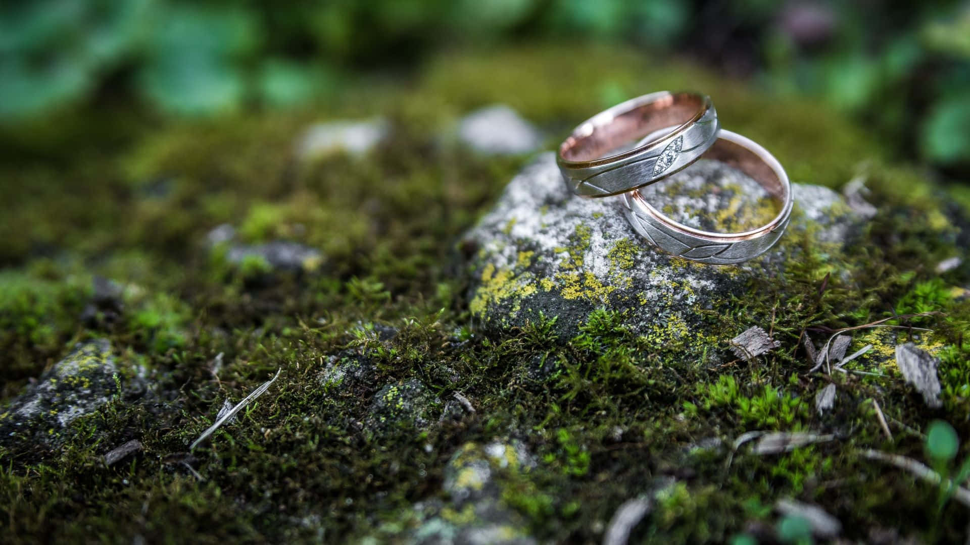 wedding ring, mossy rock, lush green forest, Full HD Desktop Wallpaper