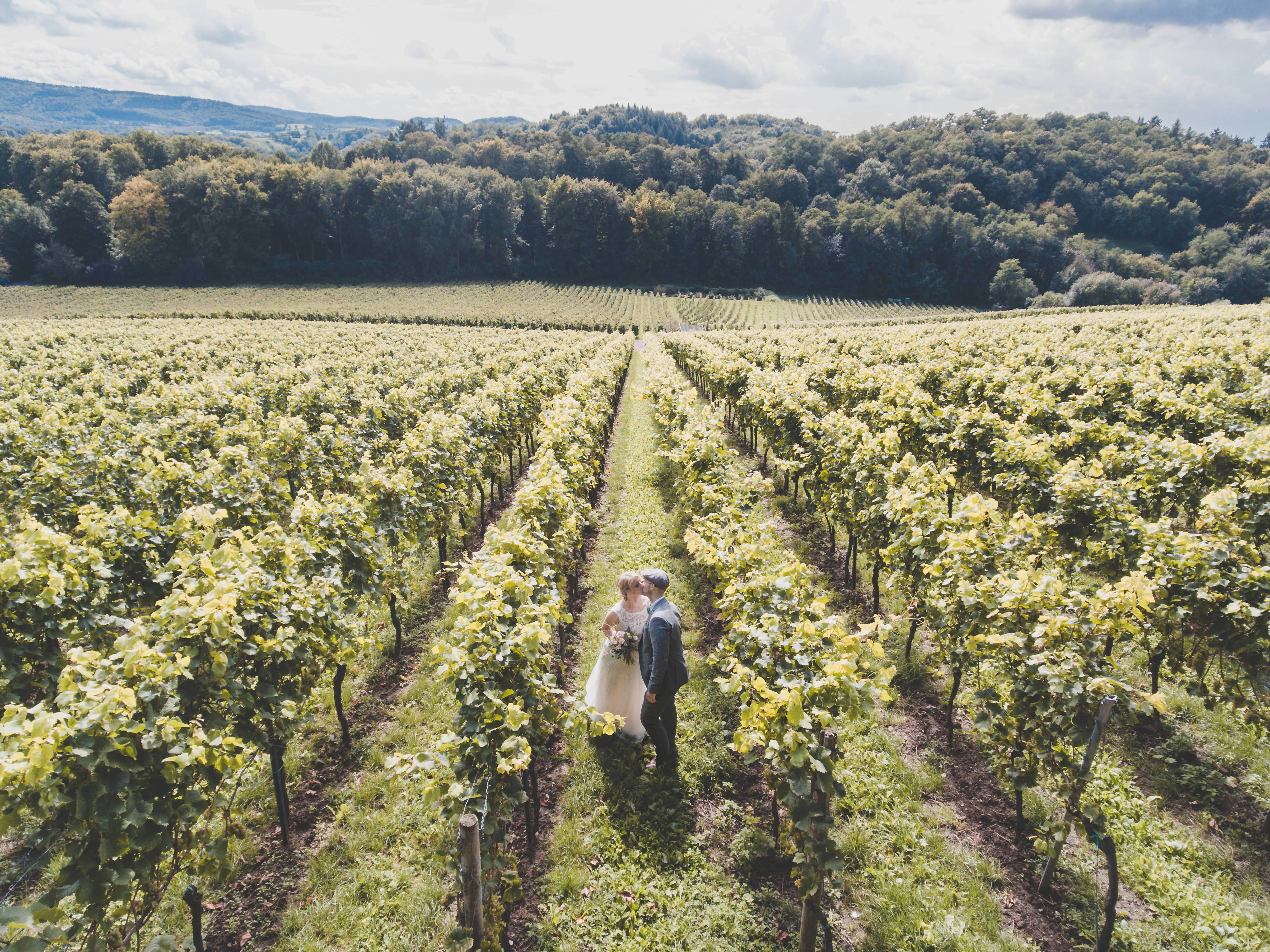 groom and bride, farmland, sunlit vineyards, 4K Desktop Wallpaper