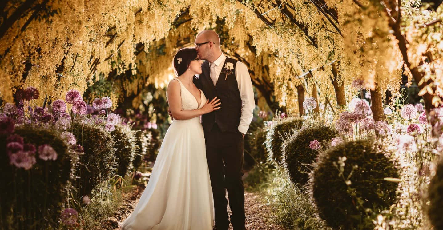 Garden Wedding, golden canopy, blossoming trees, HD Desktop Wallpaper