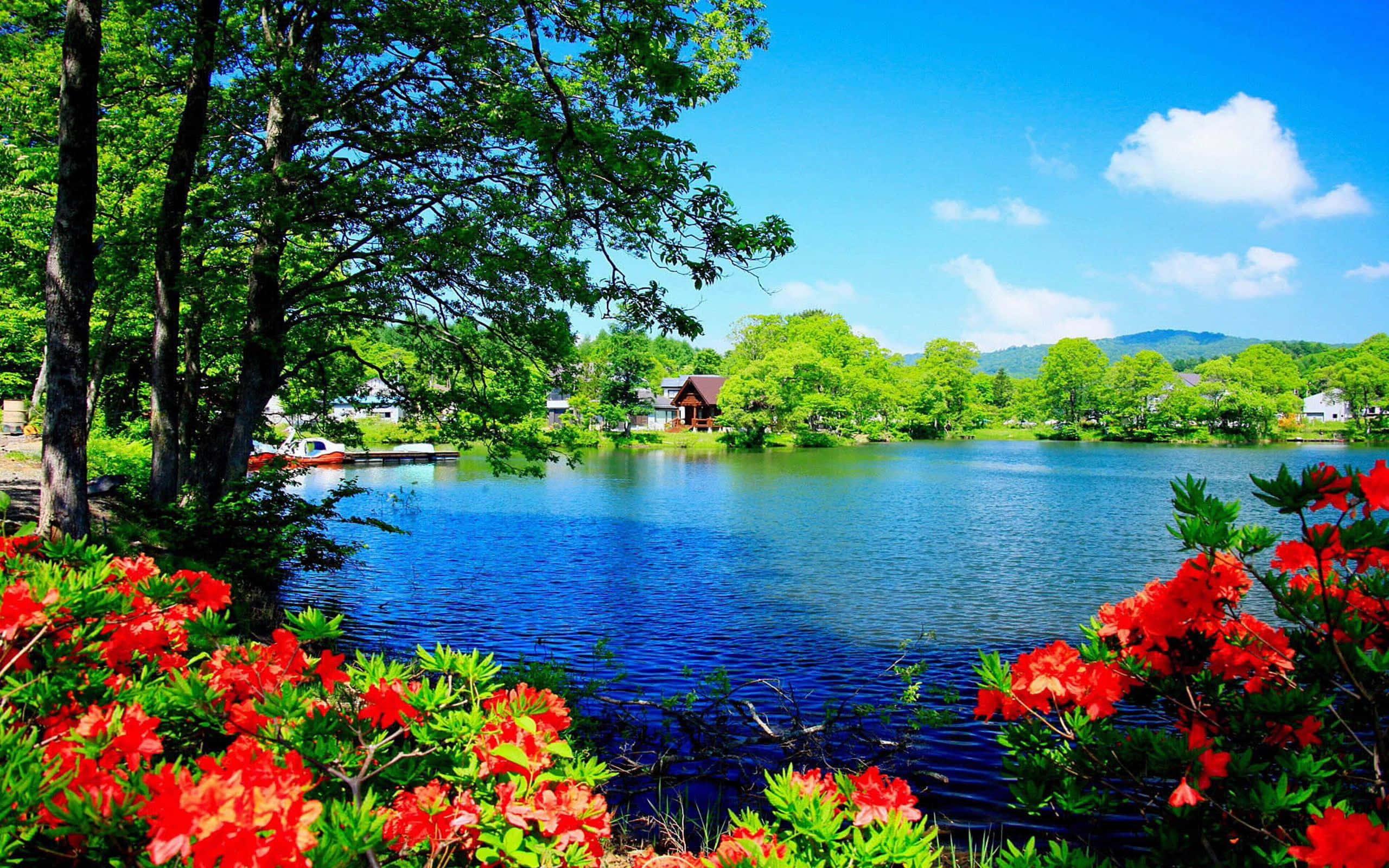 azaleas, blue lake, bright blue sky, 2K Desktop Wallpaper