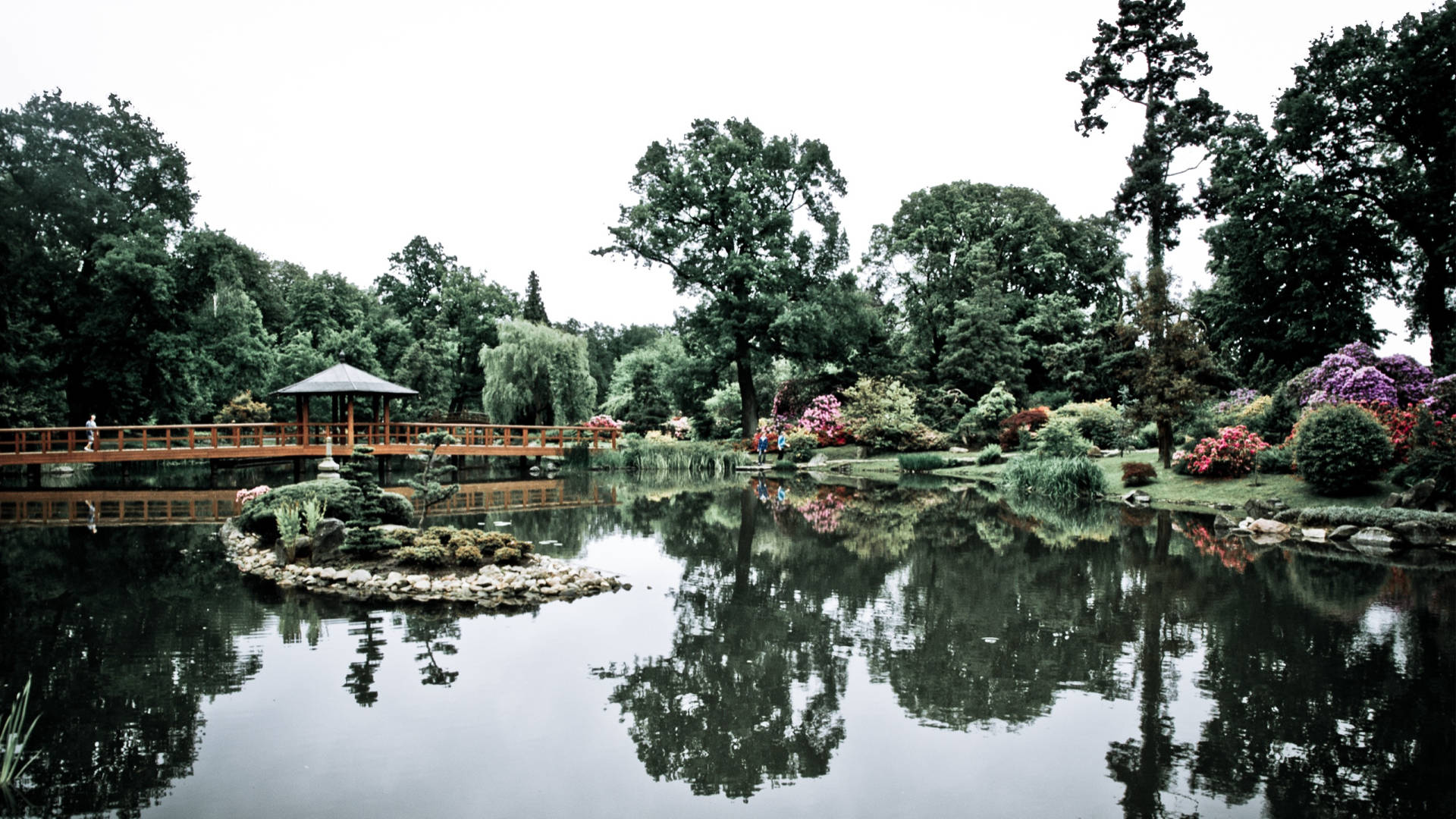 gloomy flower garden, garden pond, lush green trees, Full HD Desktop Wallpaper