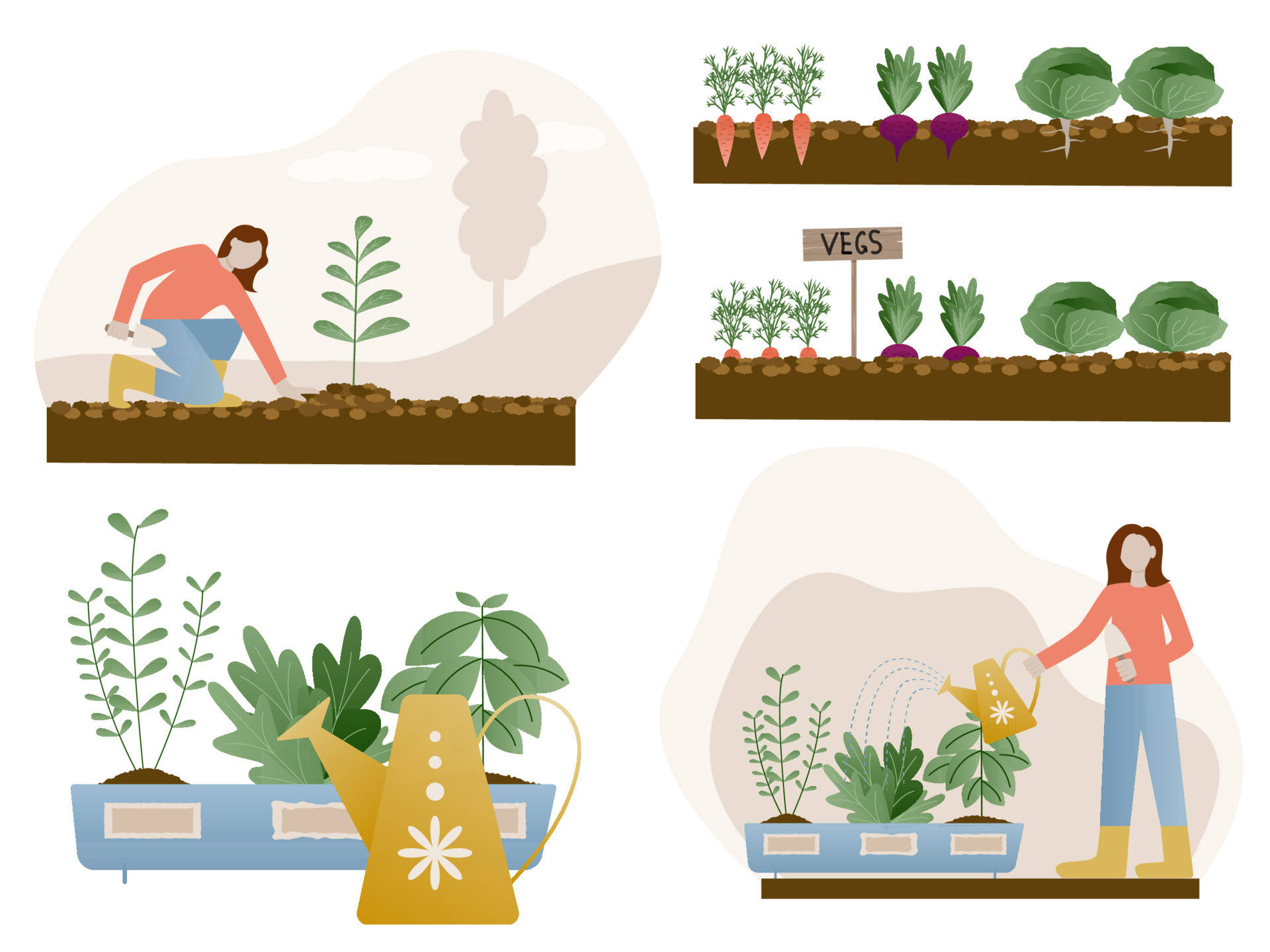woman gardener, vegetable garden, carrots, Full HD Desktop Wallpaper