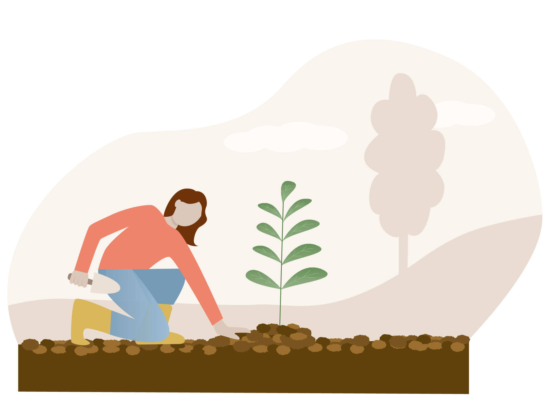 woman gardener, planting, small green sapling, Full HD Desktop Wallpaper
