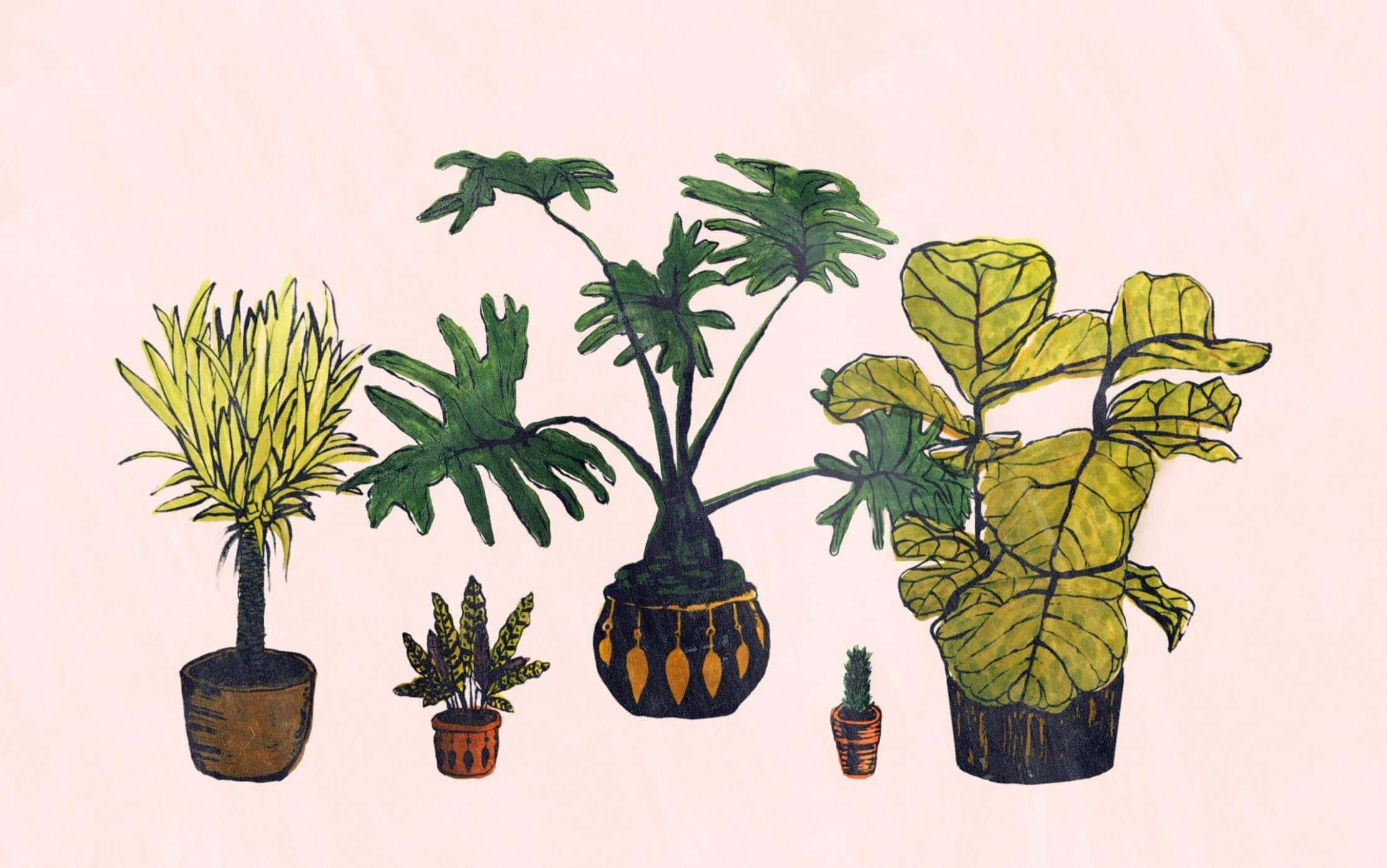 plant aesthetic desktop, potted houseplants, soft pink background, Full HD Desktop Wallpaper