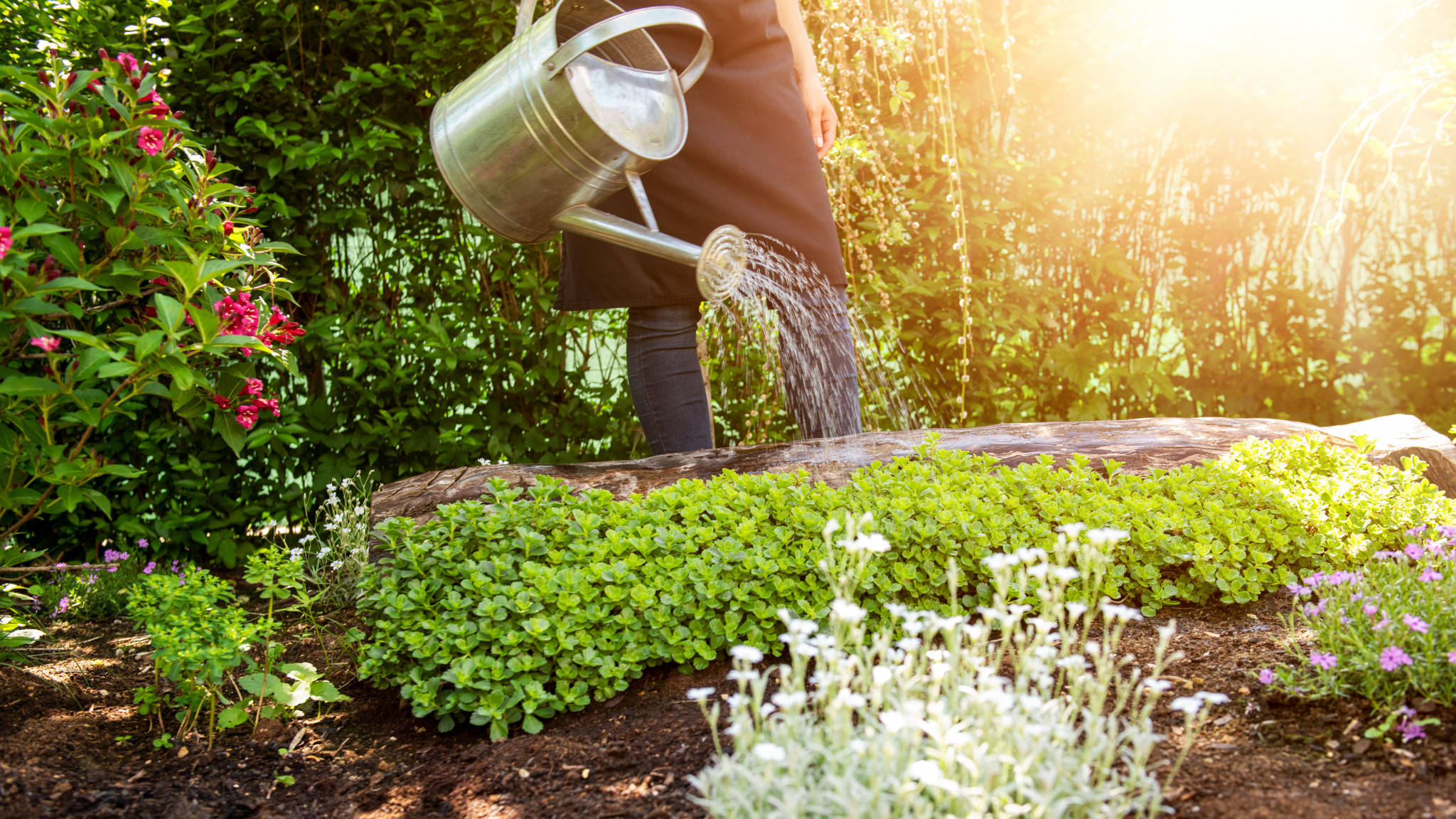 Gardener, watering can, lush green plants, Full HD Desktop Wallpaper