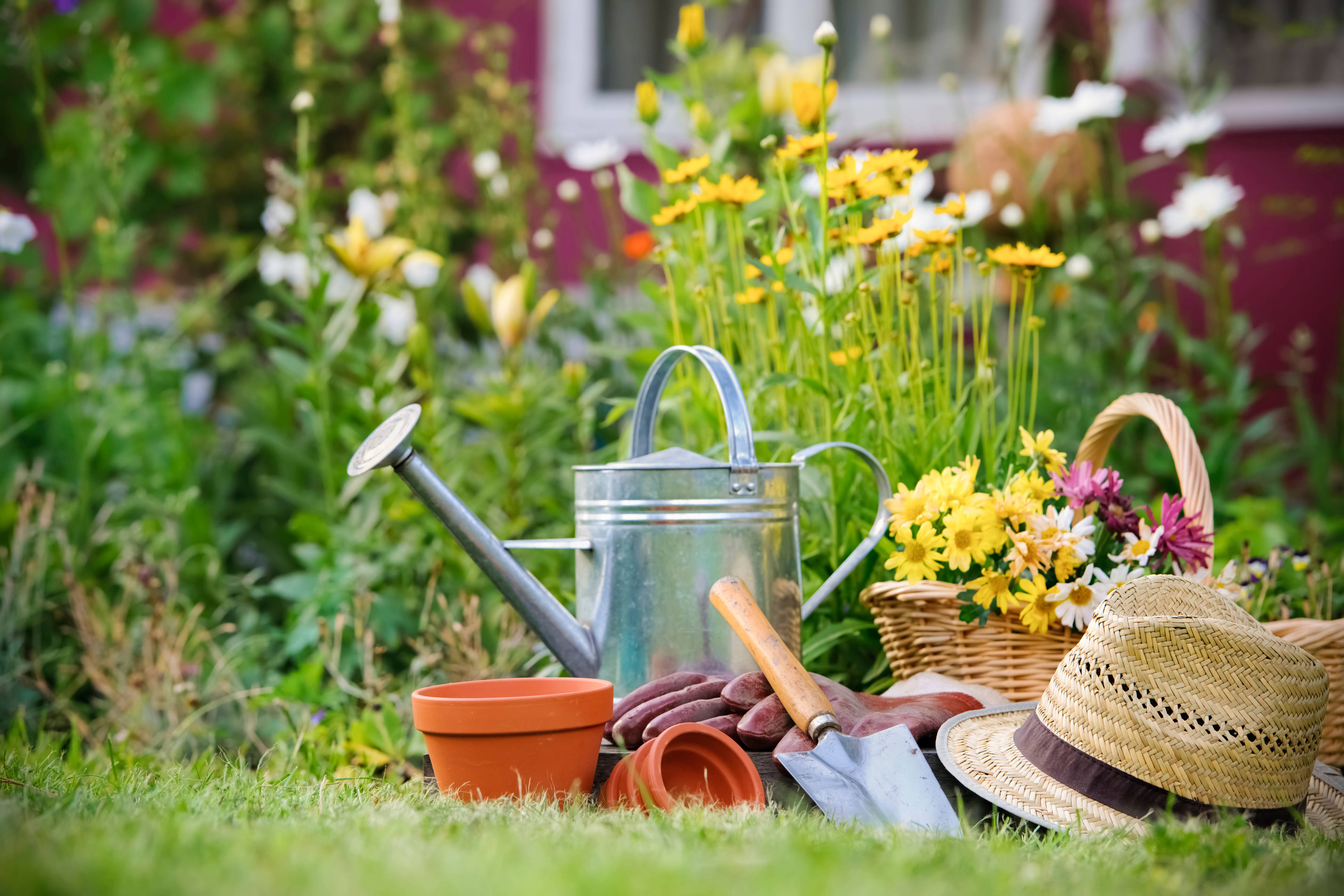 gardening tools, straw hat, vibrant green grass, 4K Desktop Wallpaper