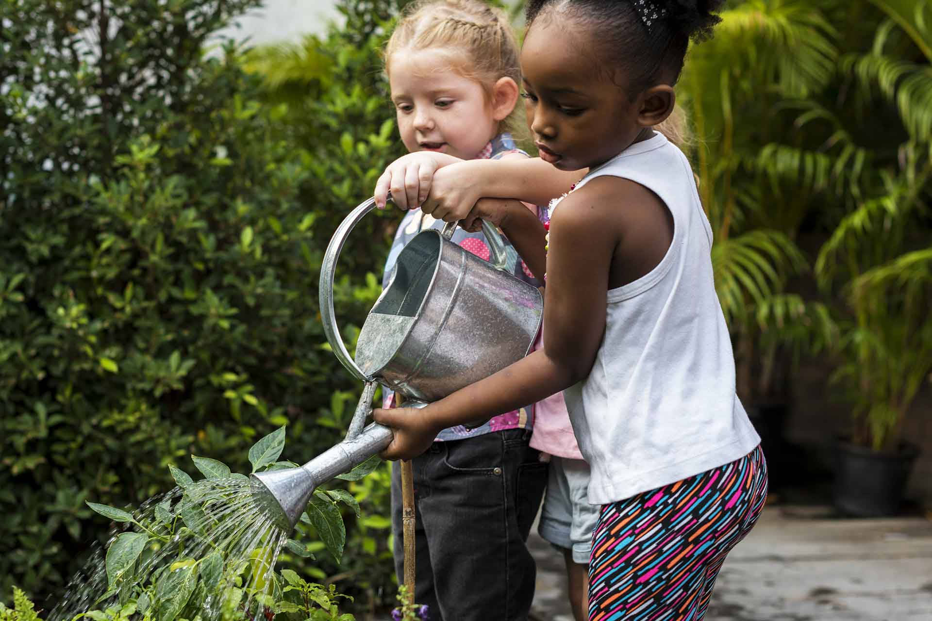 two little girls, silver watering can, leafy plant, Full HD Desktop Wallpaper