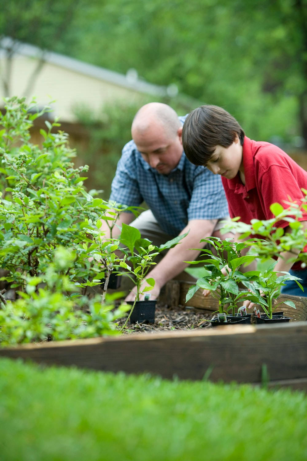 gardener, father and son, backyard, HD Phone Wallpaper