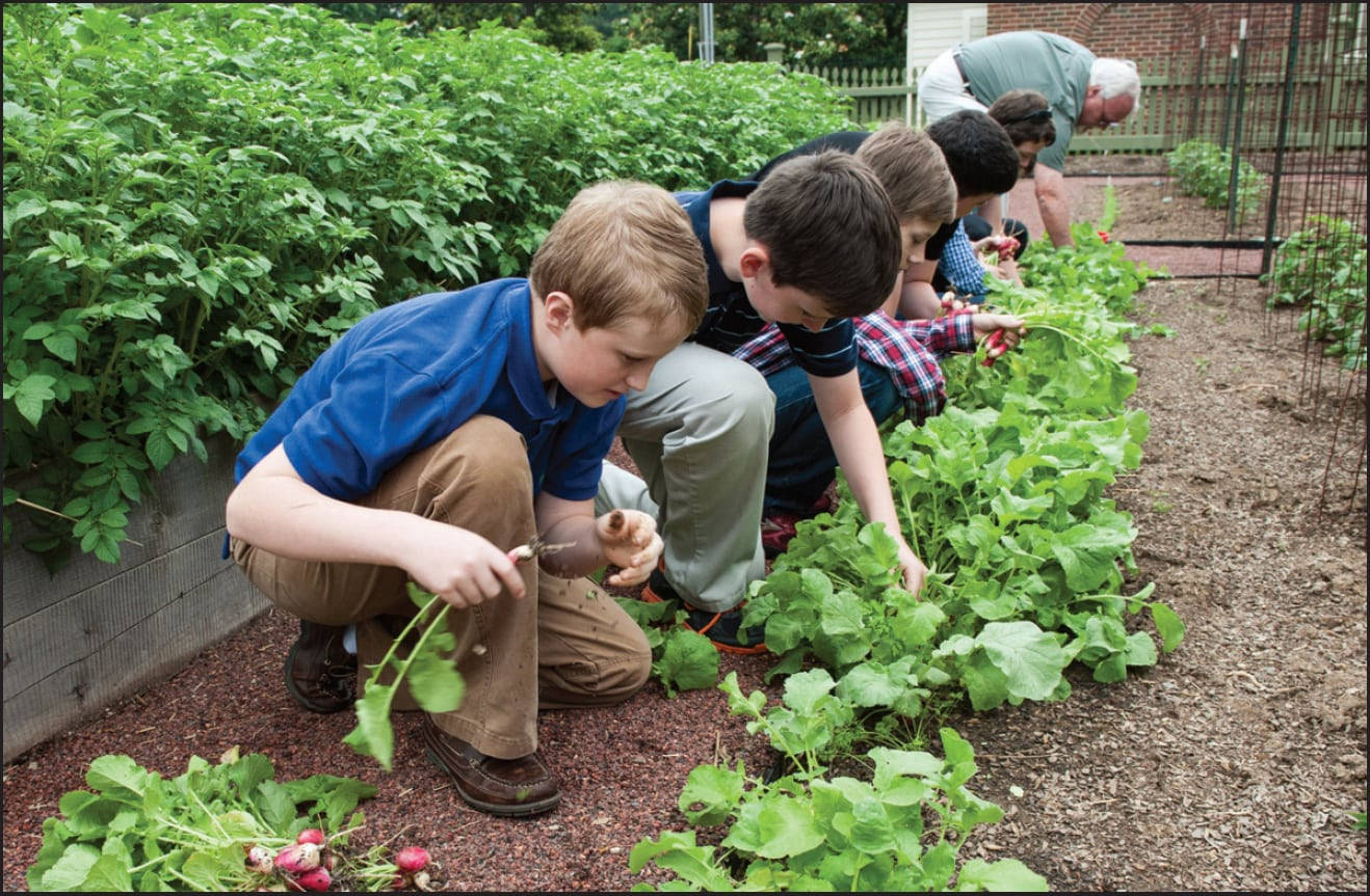 teacher, students, garden, HD Desktop Wallpaper
