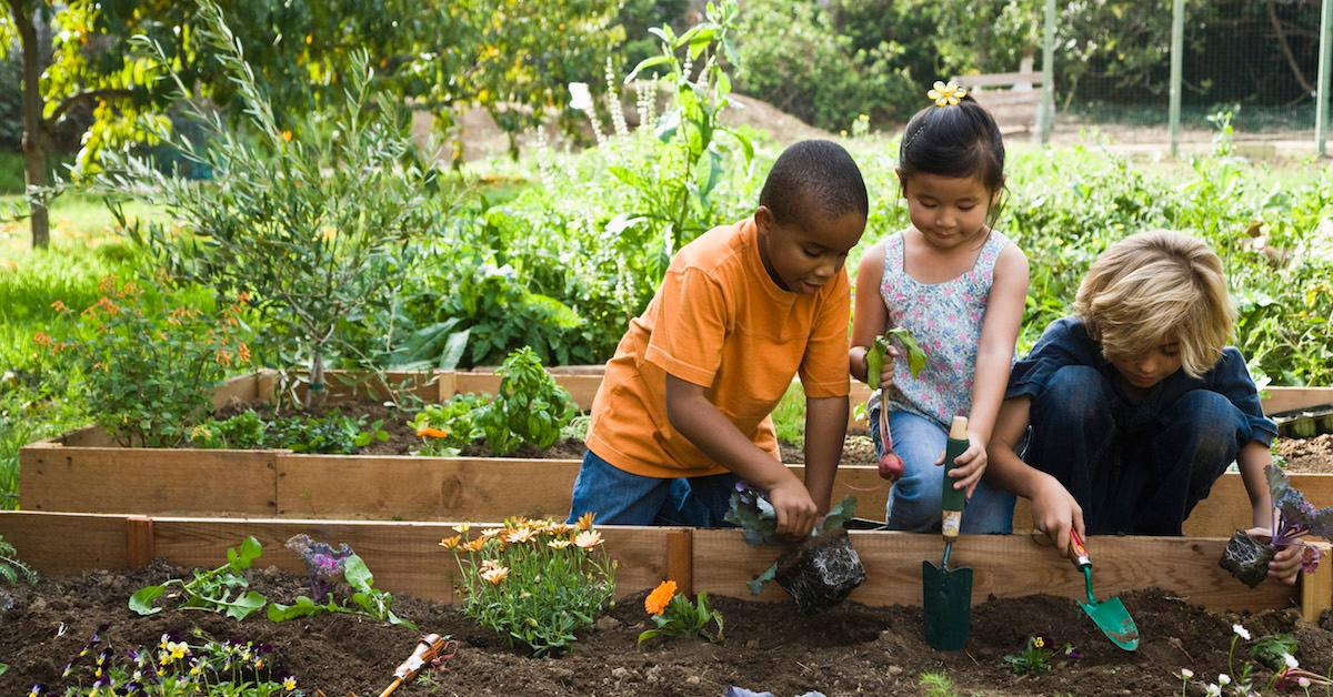 Gardening, kids, planting flowers, SD Desktop Wallpaper