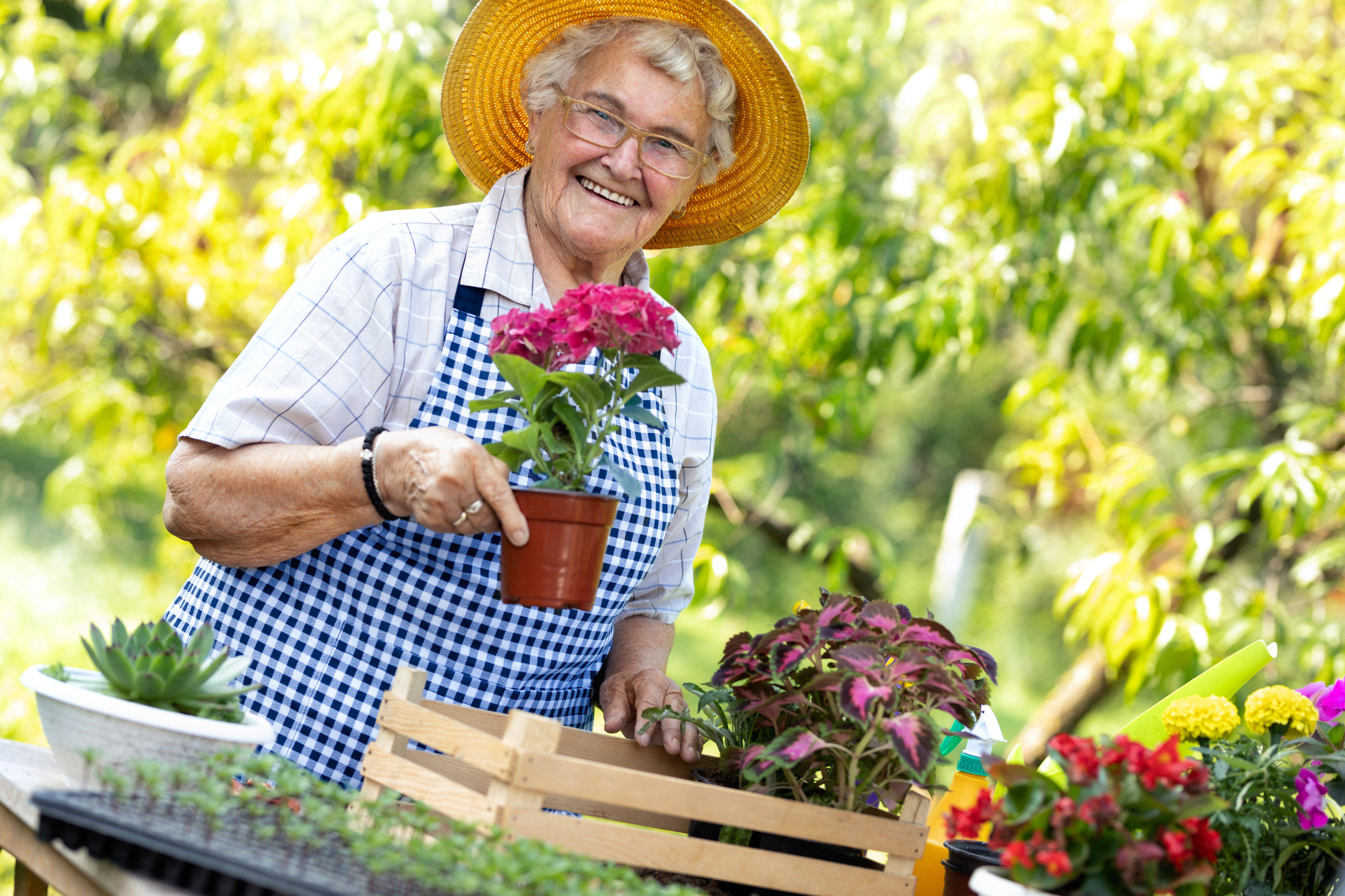 old woman, straw hat, checkered apron, 2K Desktop Wallpaper