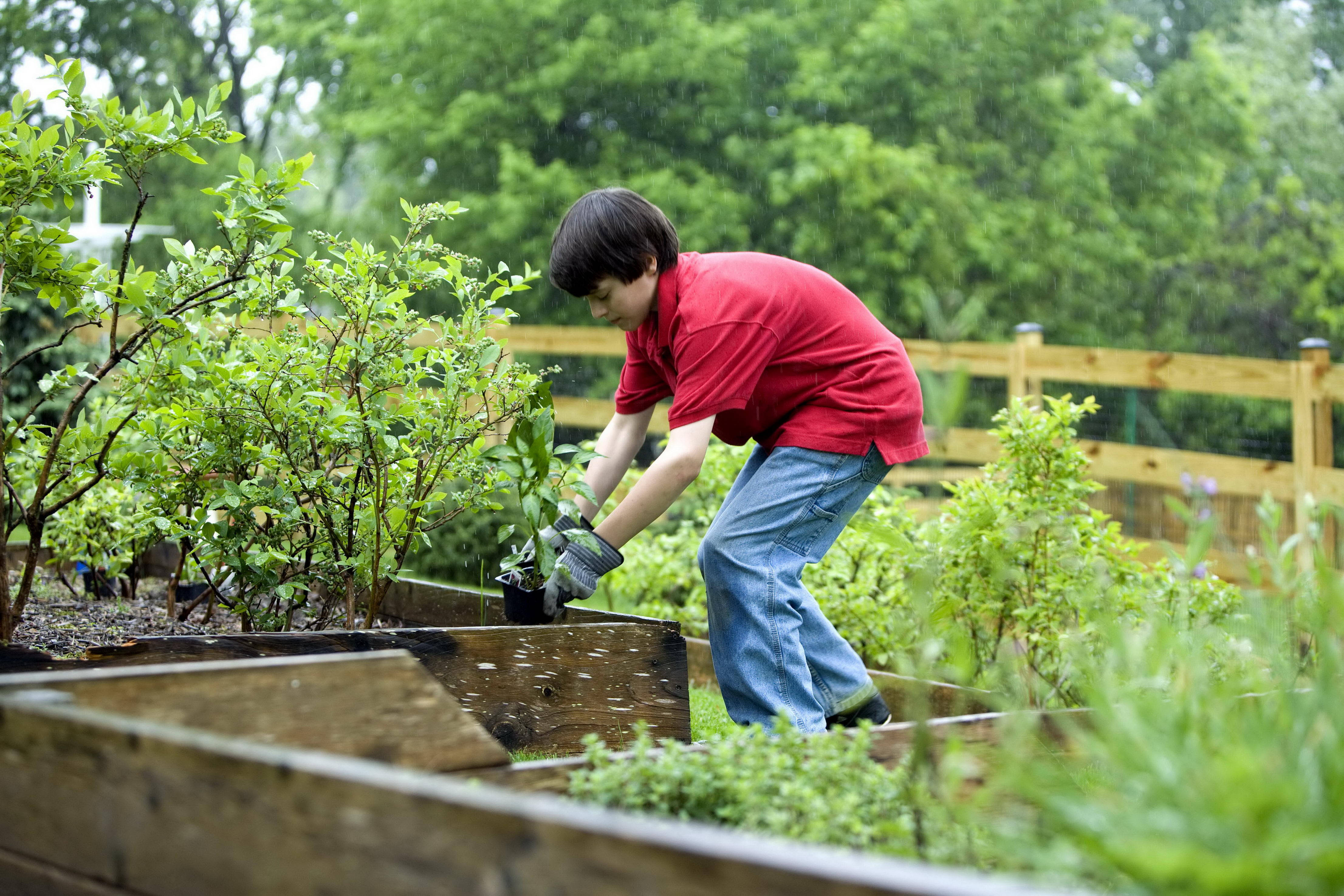 Gardening Boy, red shirt, gloves, 4K Desktop Wallpaper