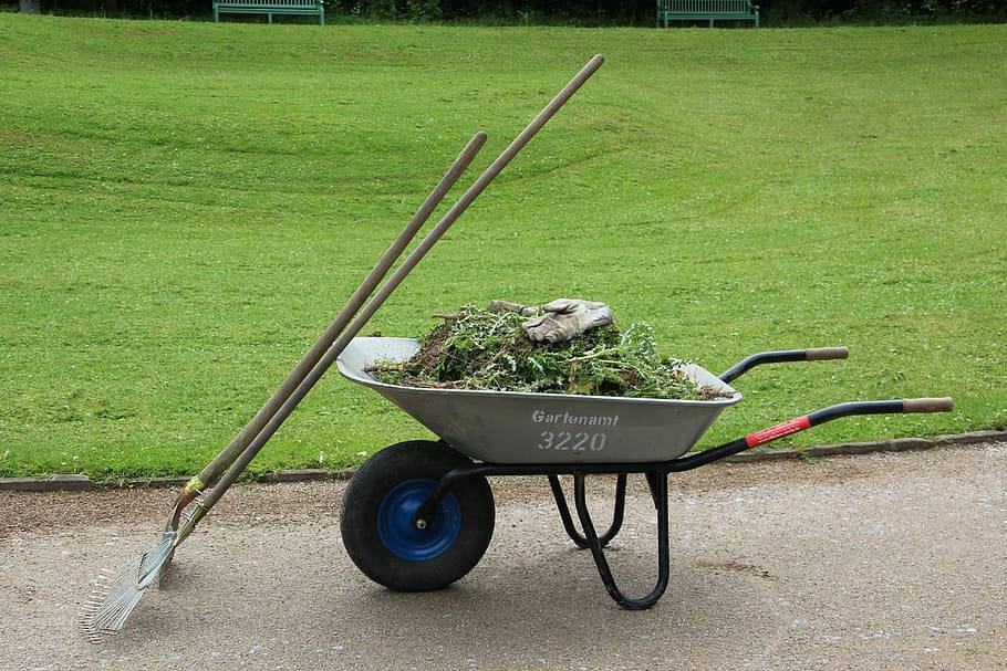 wheelbarrow, gray, garden clippings, SD Desktop Wallpaper
