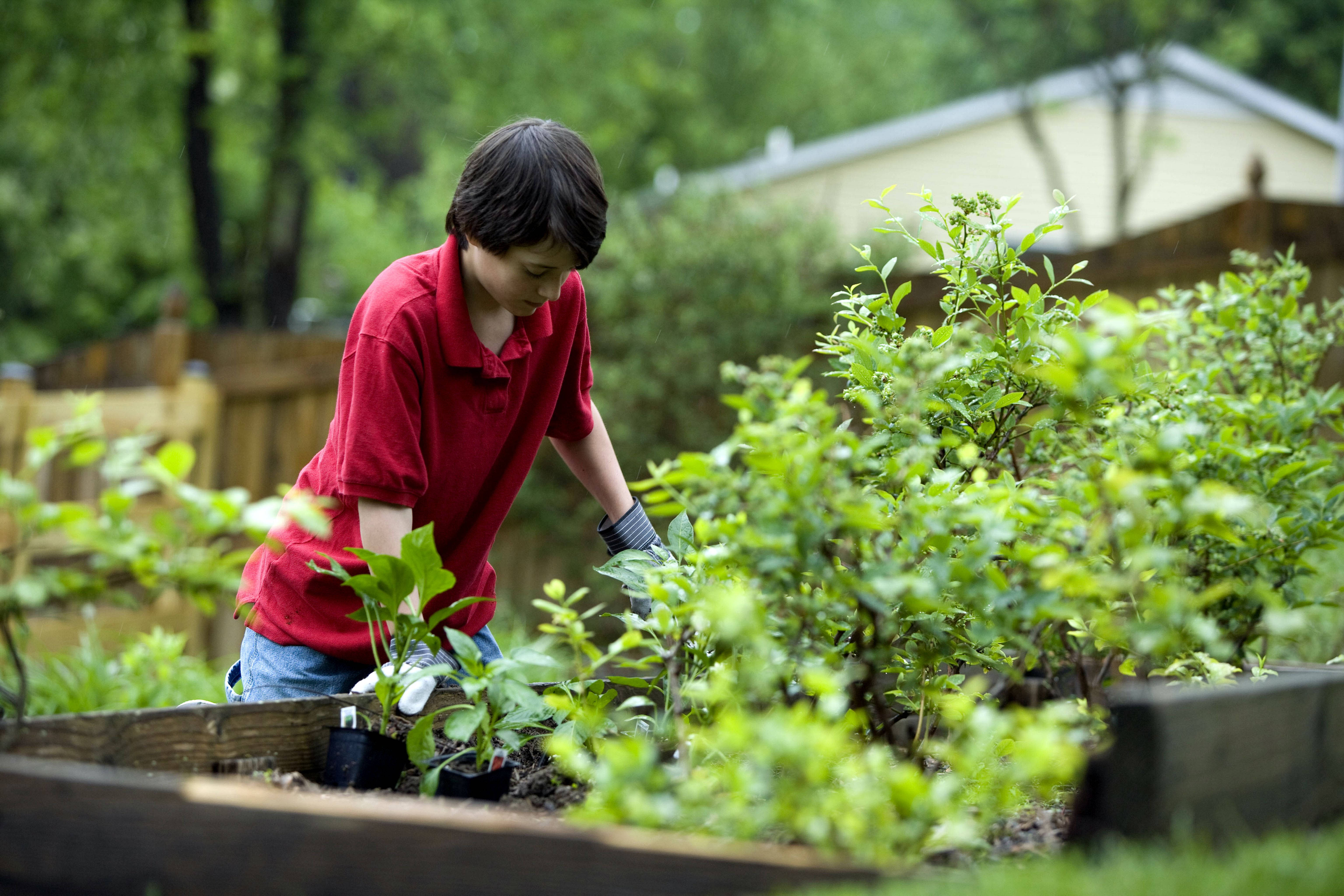 teenager boy, red shirt, leafy green plants, 5K Desktop Wallpaper