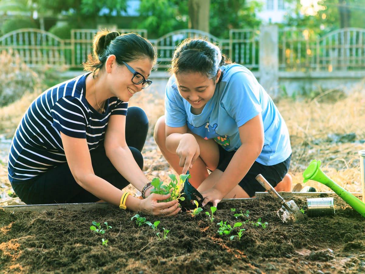 mother, daughter, garden bed, SD Desktop Wallpaper