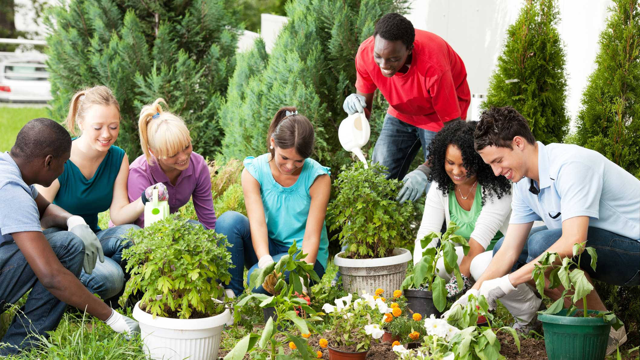 teenagers, gardening activity, potted plants, Full HD Desktop Wallpaper