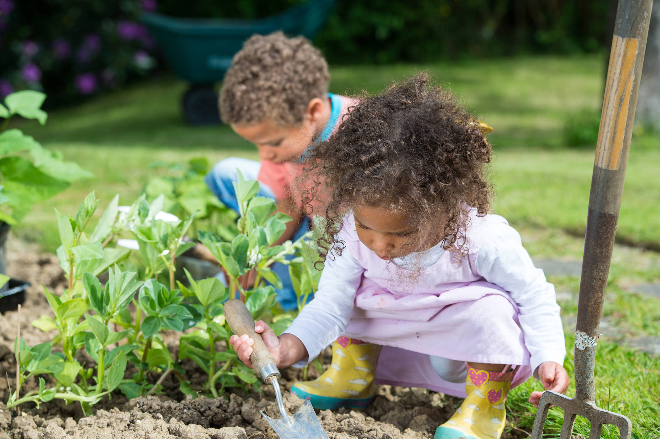 children, garden, seedlings, Full HD Desktop Wallpaper
