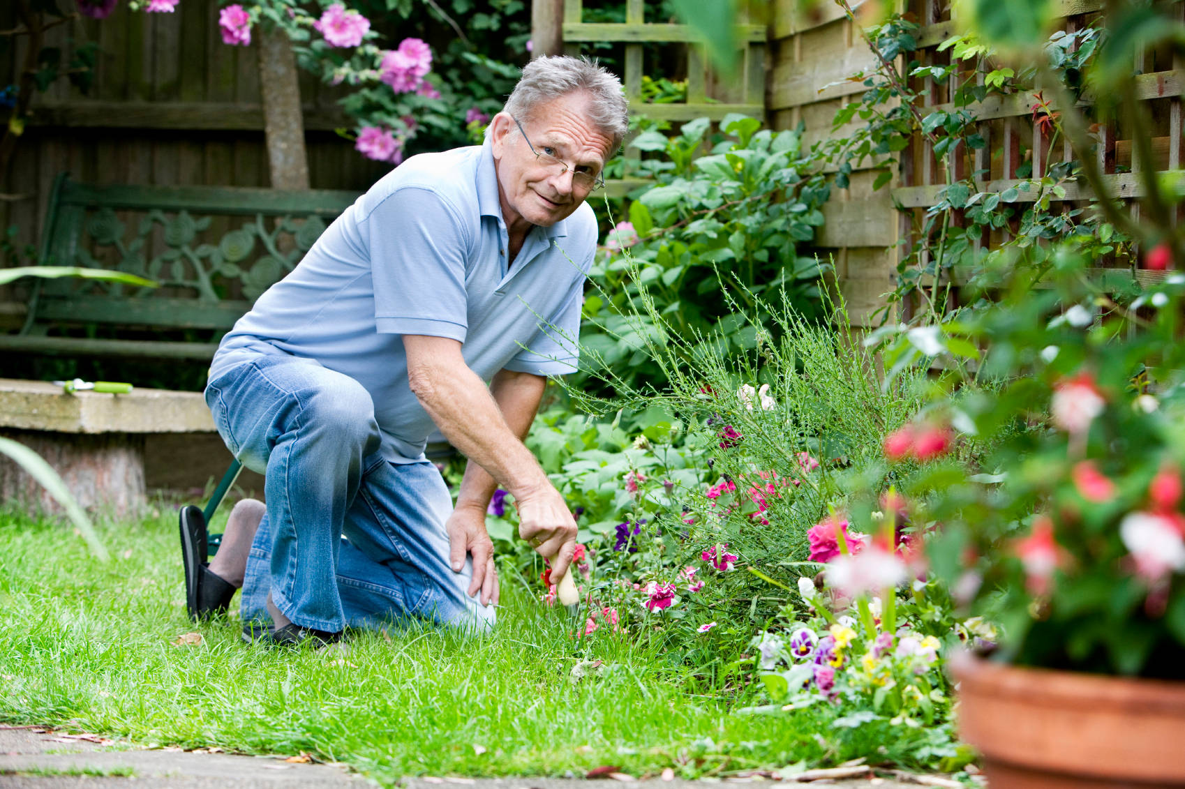 senior man, flower gardening, lush garden, HD Desktop Wallpaper