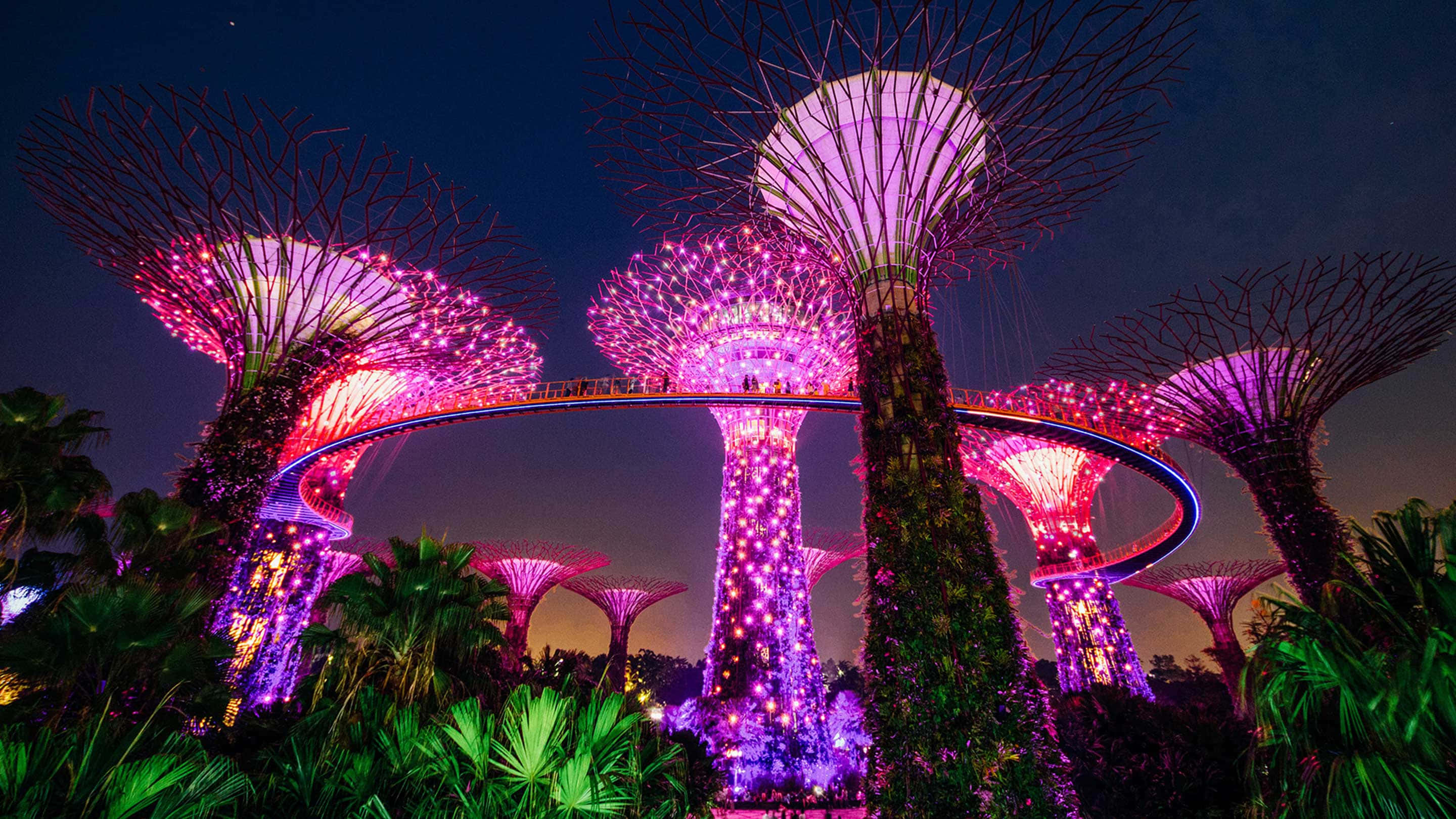 Gardens By The Bay, nighttime illumination, giant illuminated tree-like structures, 2K Desktop Wallpaper