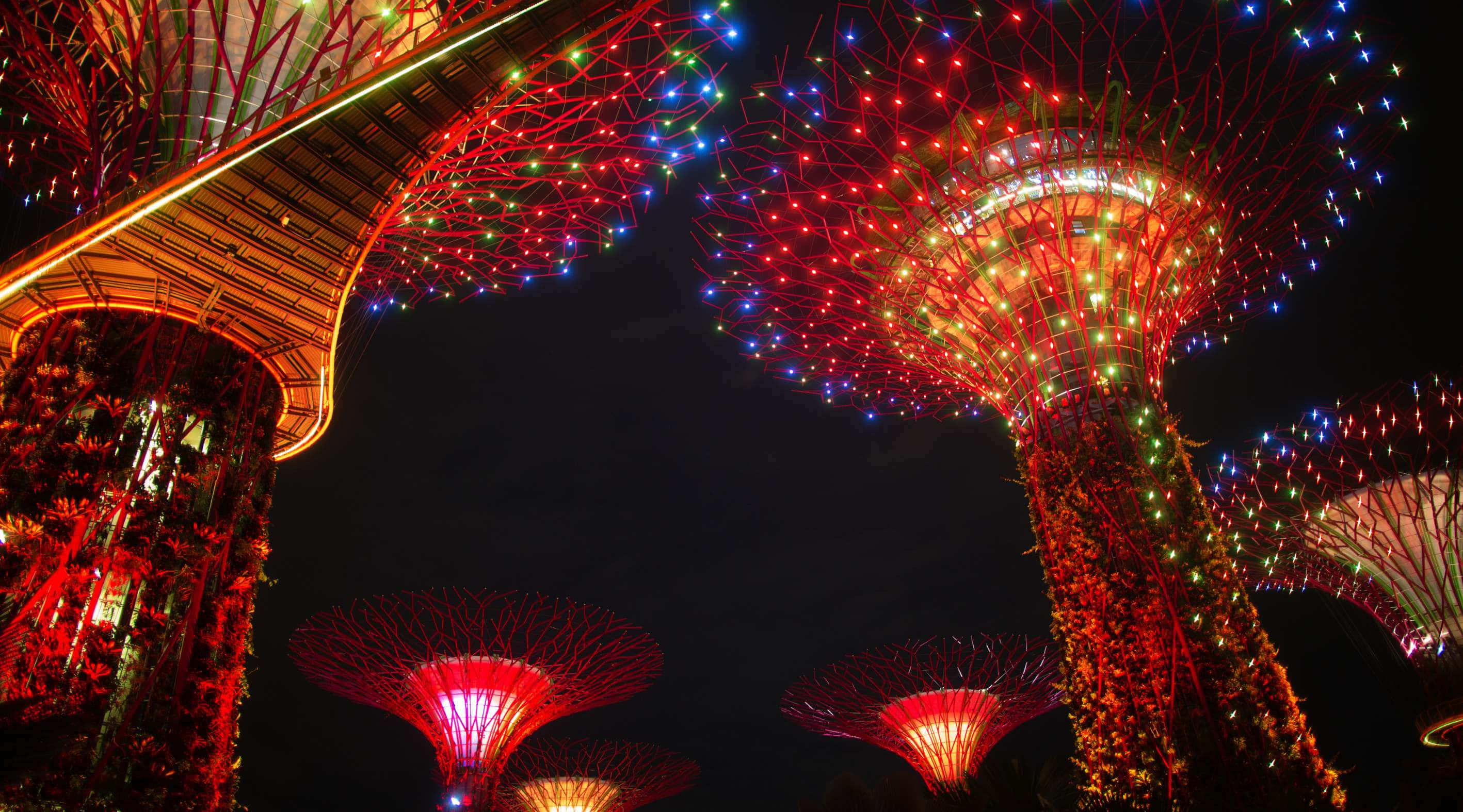 Gardens By The Bay, night lights, illuminated tree-like structures, 2K Desktop Wallpaper