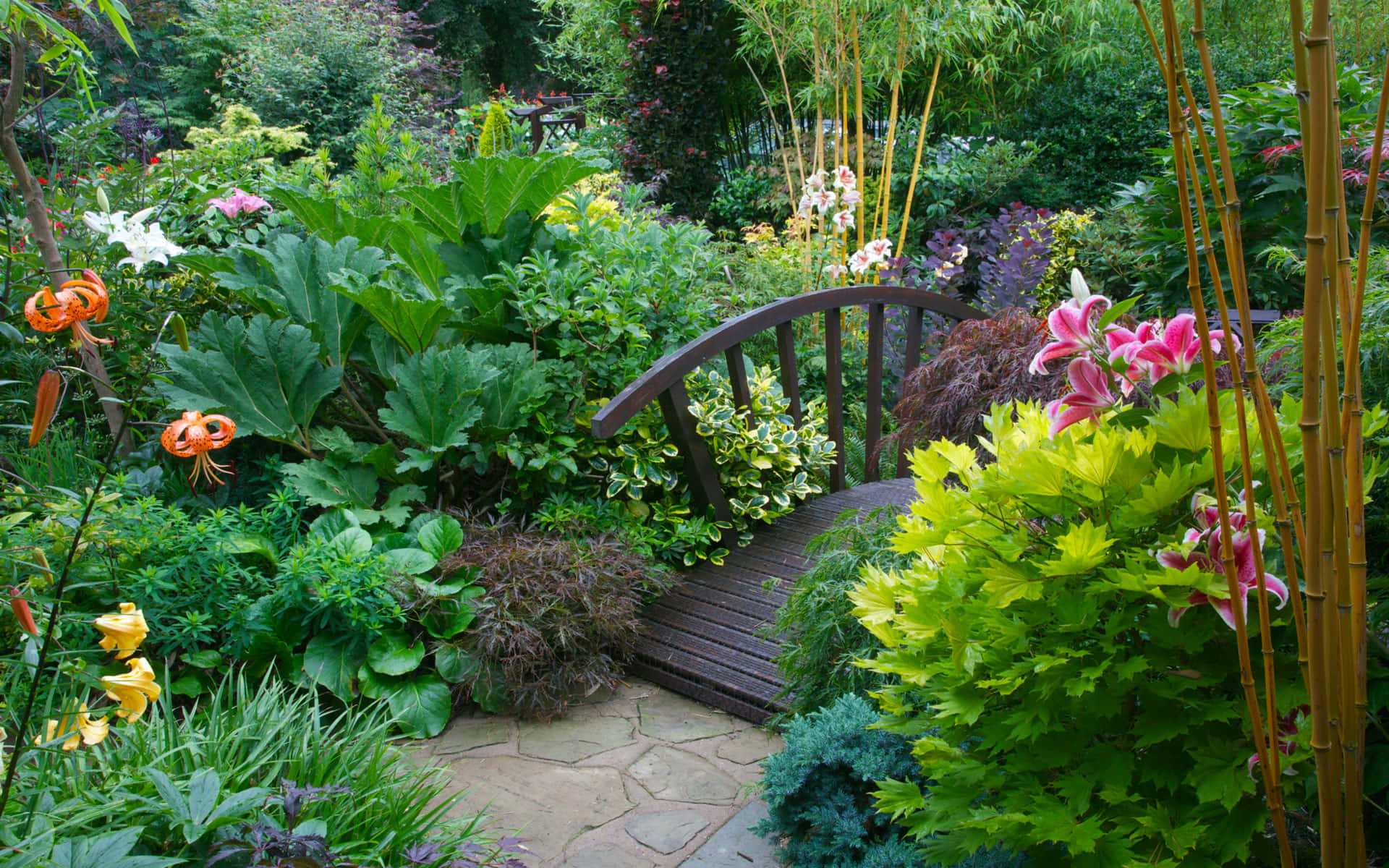 wooden arched bridge, lush garden, colorful flowers, Full HD Desktop Wallpaper
