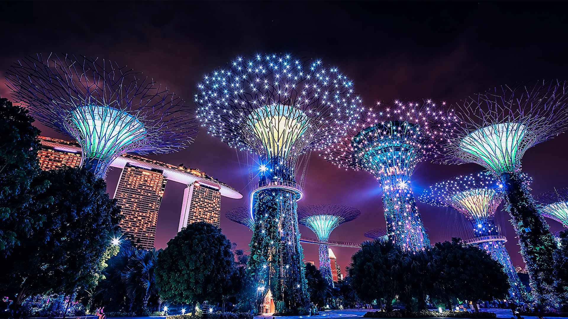 Gardens By The Bay, nighttime illumination, blue and purple lights, Full HD Desktop Wallpaper