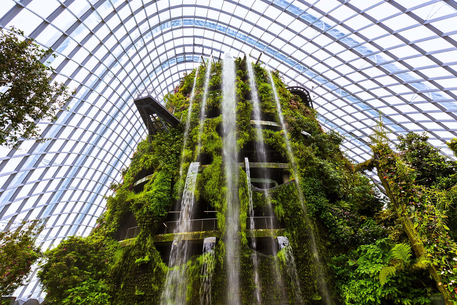 Cloud Forest Waterfall, Gardens By The Bay, glass dome, HD Desktop Wallpaper