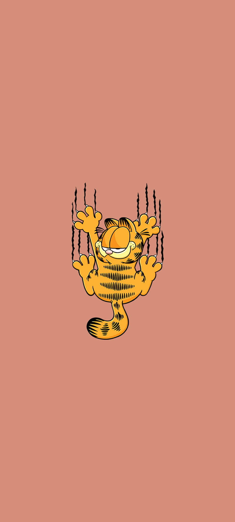 Garfield, orange tabby cat, window, HD Phone Wallpaper