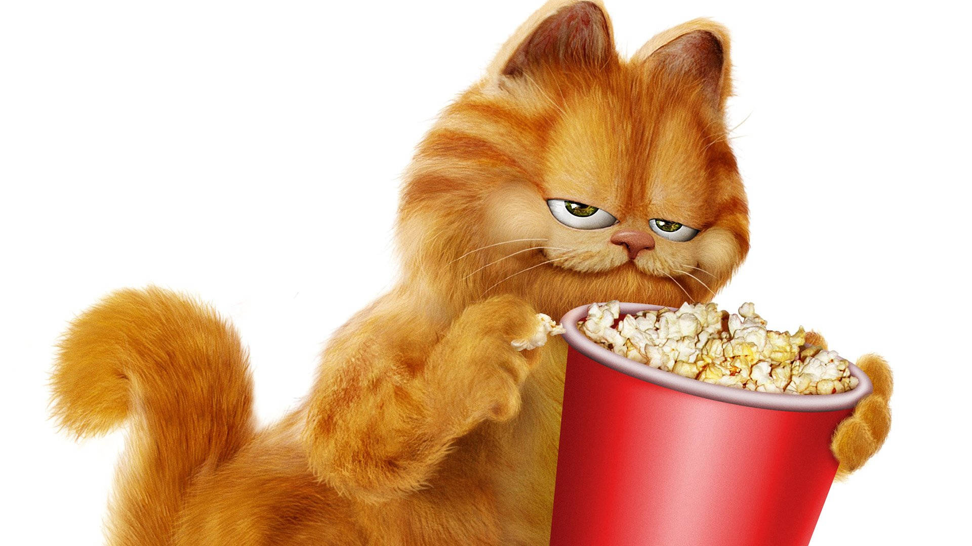 Garfield, orange tabby cat, red bucket of popcorn, Full HD Desktop Wallpaper