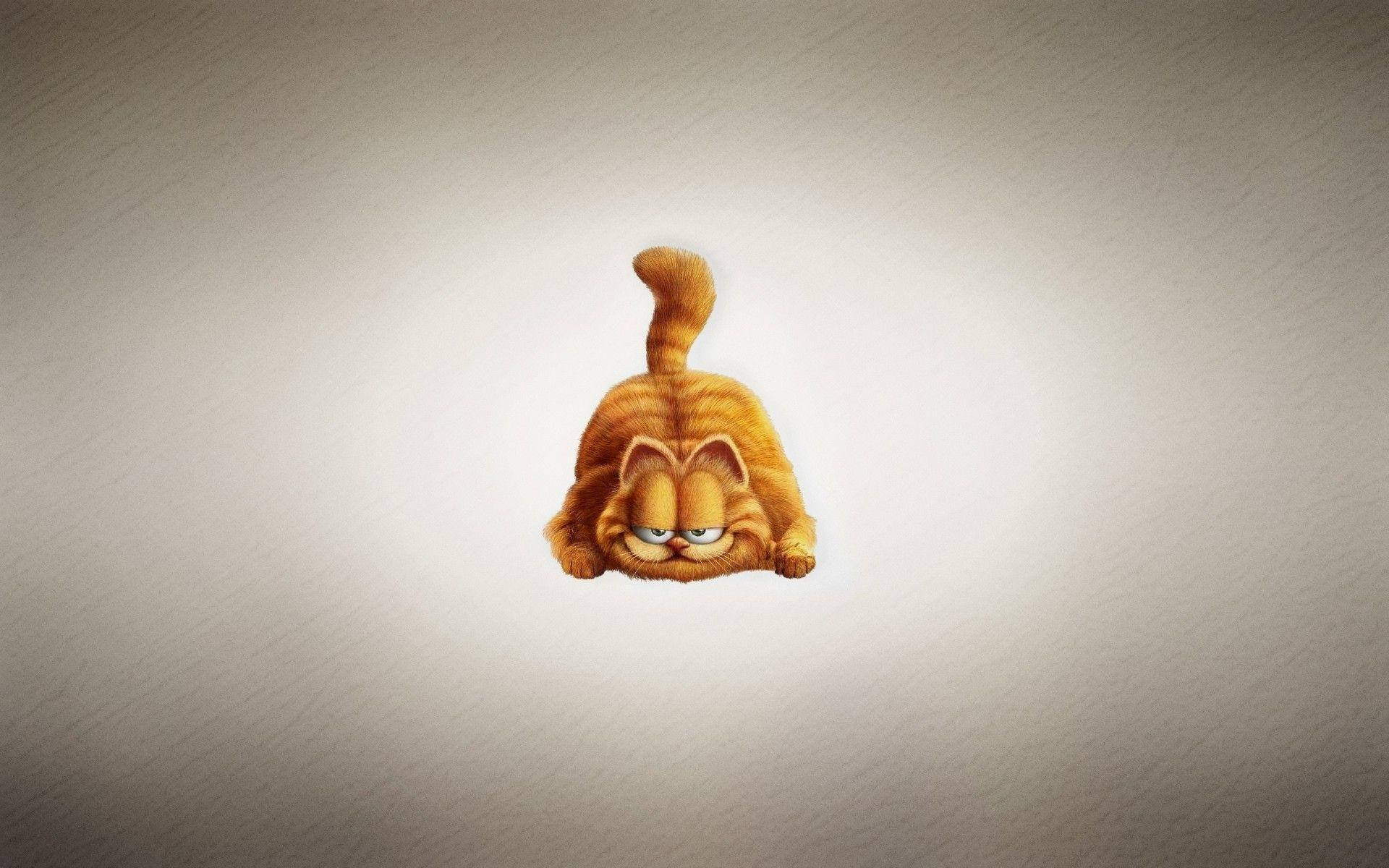 Garfield, orange tabby cat, raised tail, Full HD Desktop Wallpaper