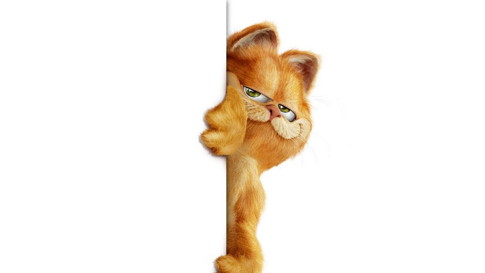 Garfield, orange tabby cat, white edge, Full HD Desktop Wallpaper