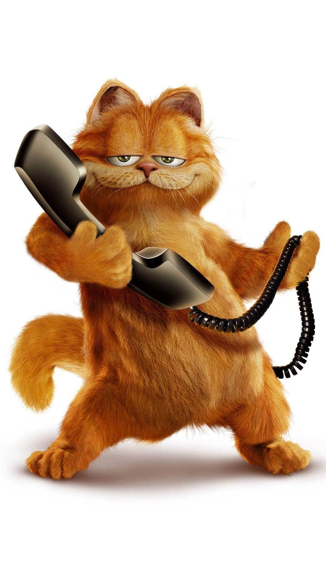 Garfield, orange tabby cat, grumpy expression, Full HD Phone Wallpaper
